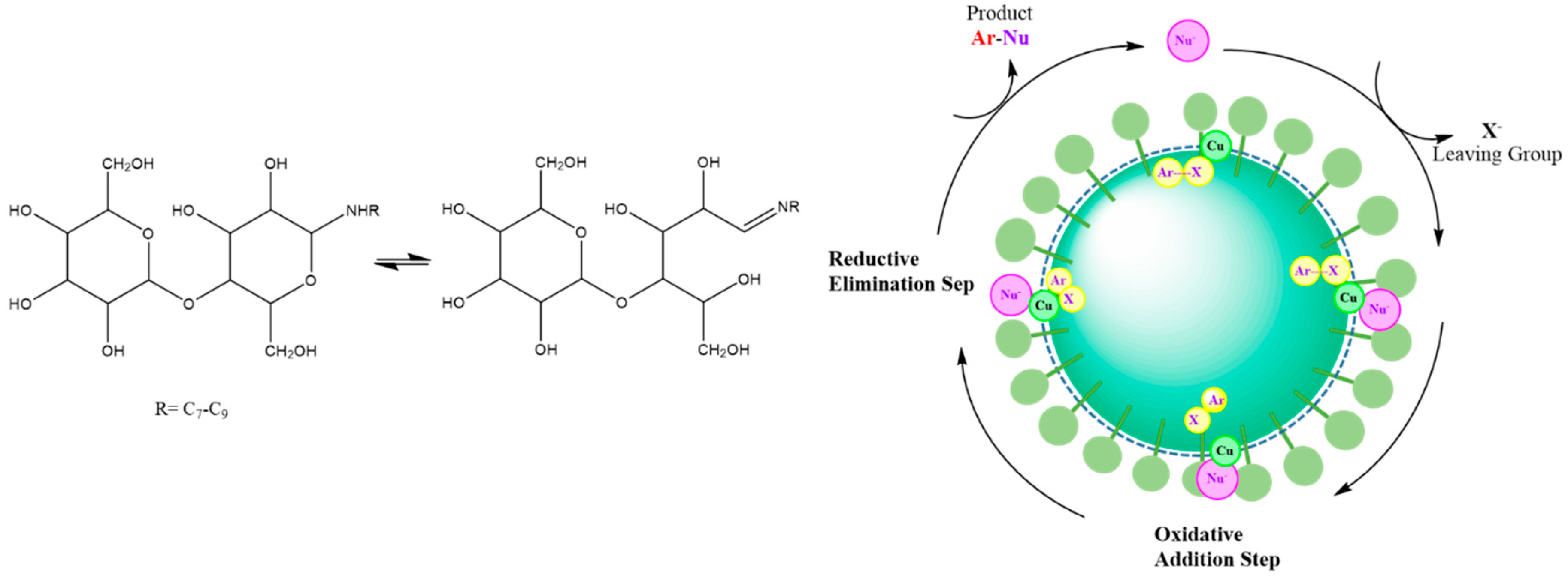 Polysaccharides 02 00012 g006 Polysaccharides 02 00012 g006