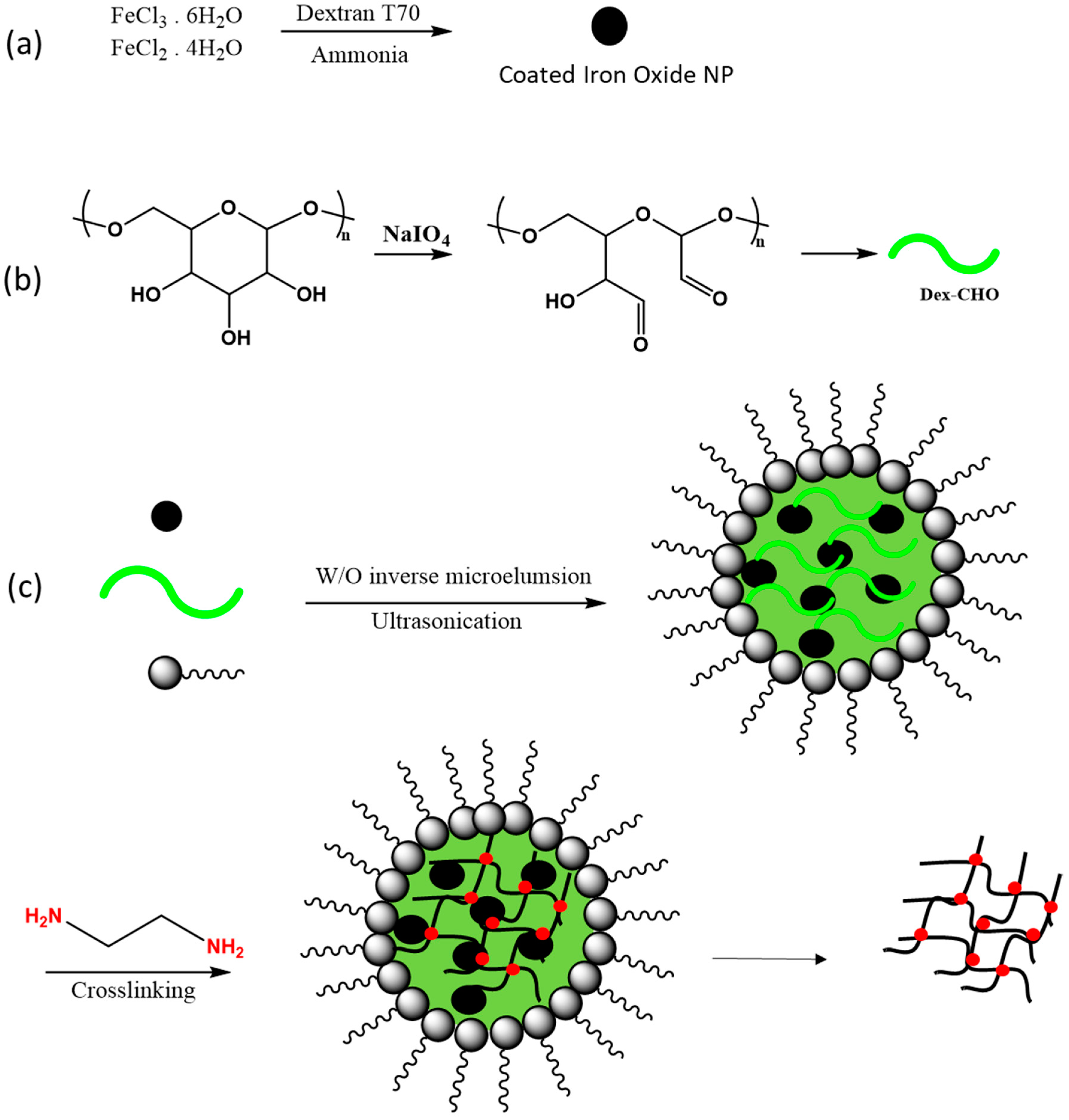 Polysaccharides 02 00012 g009 Polysaccharides 02 00012 g009