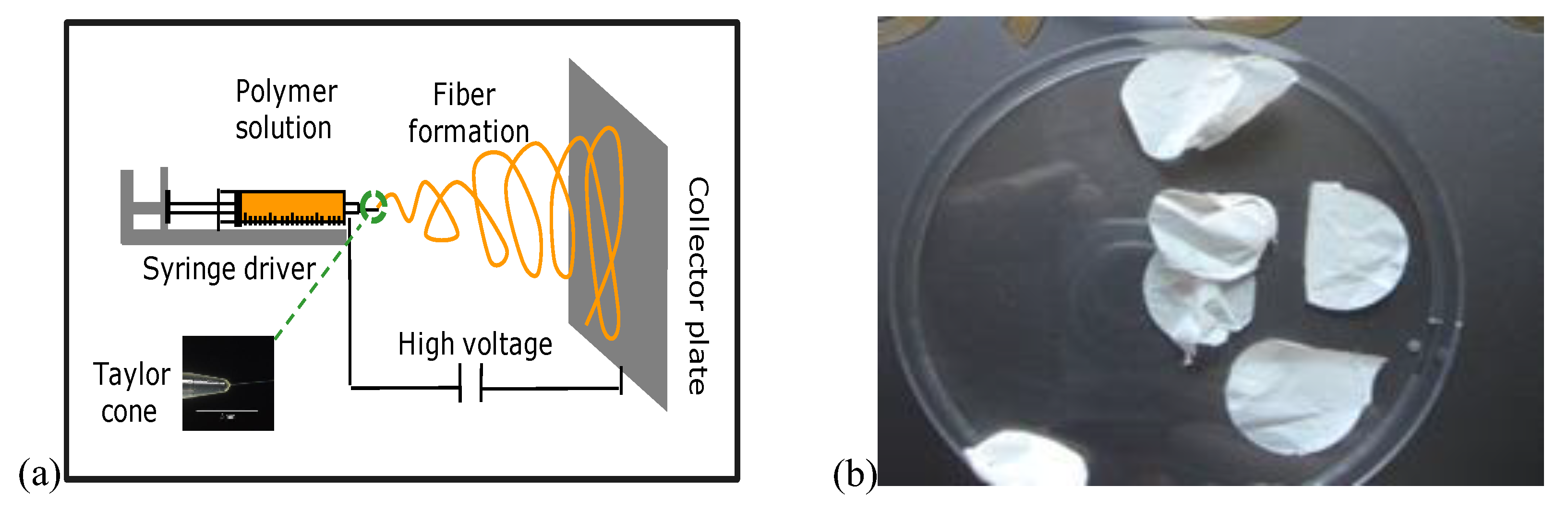 Polysaccharides 02 00019 g001 Polysaccharides 02 00019 g001