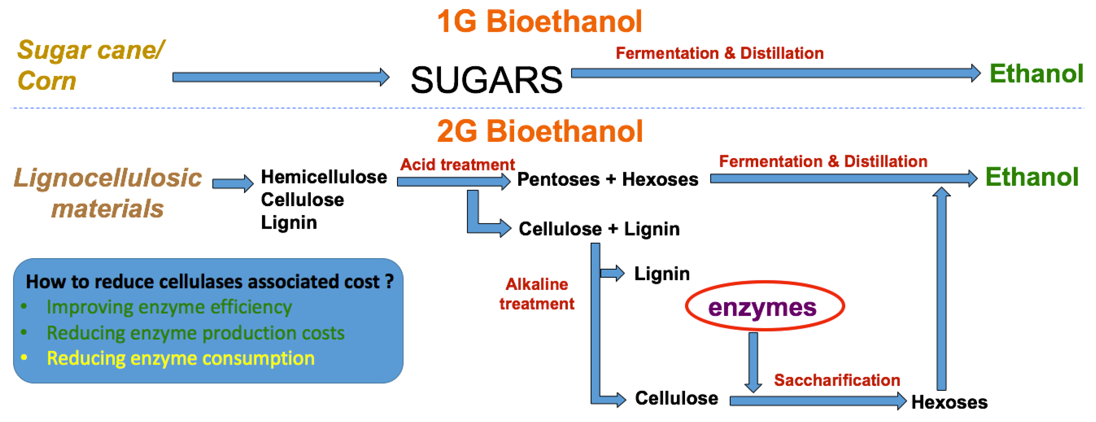 Polysaccharides 02 00020 g001