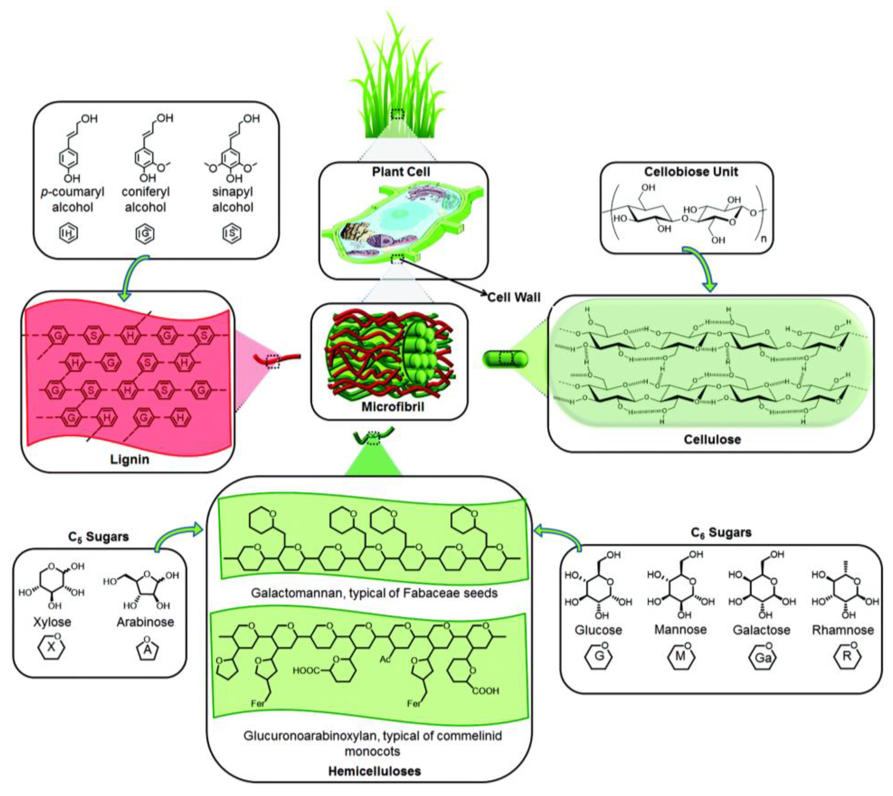 Polysaccharides 02 00020 g002