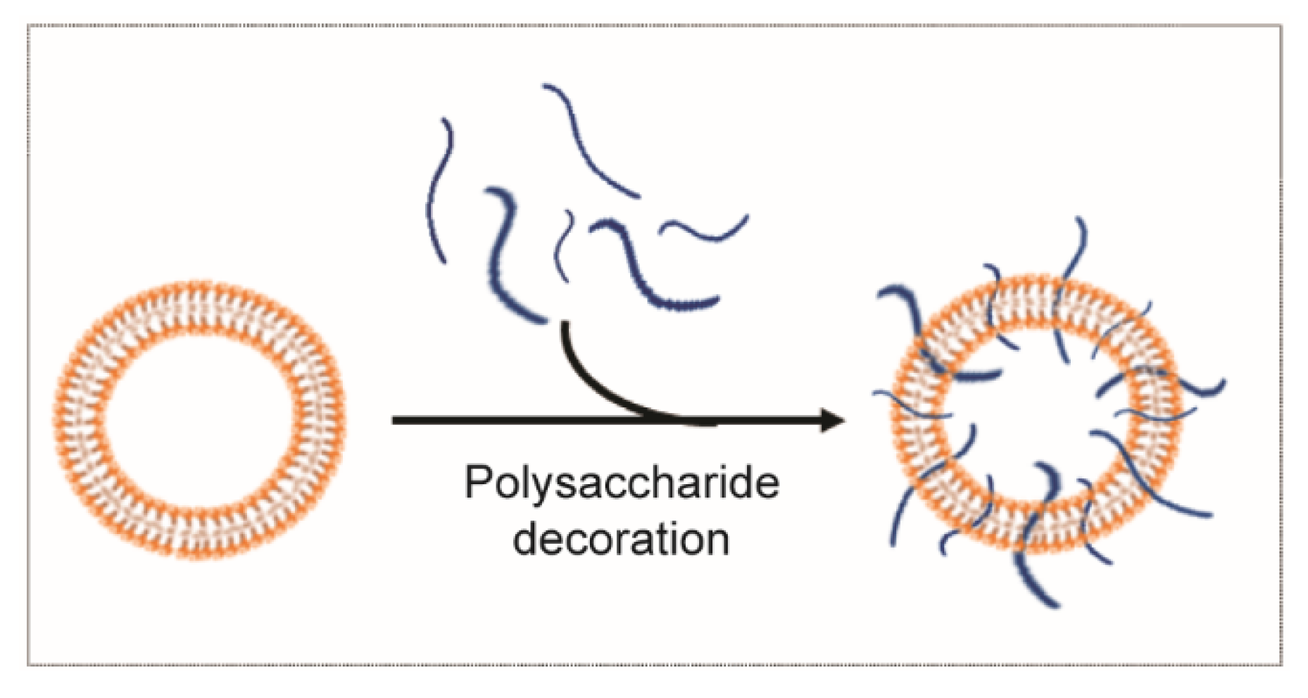 From Exosome Glycobiology to Exosome Glycotechnology, the