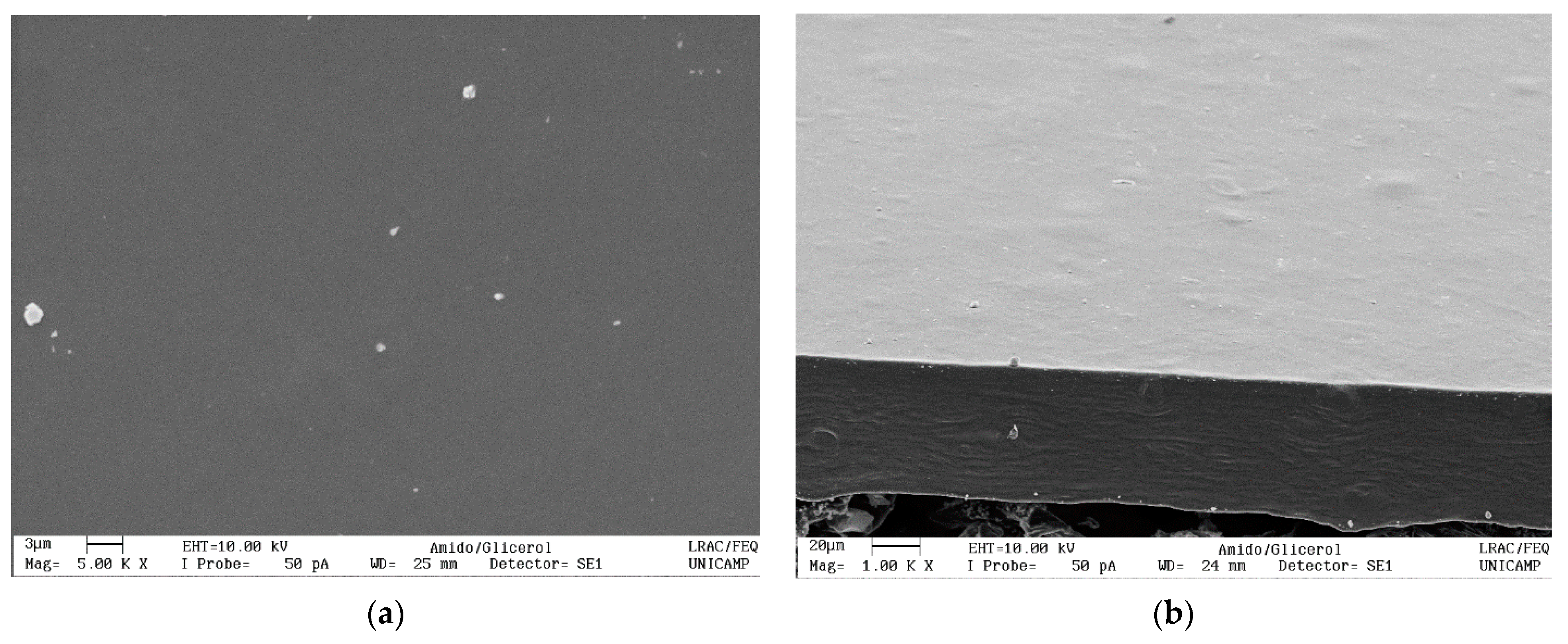 Polysaccharides 02 00024 g002 Polysaccharides 02 00024 g002