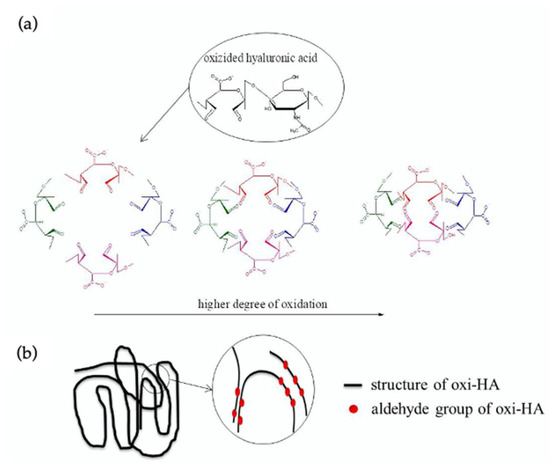 Oxi-HA/ADH Hydrogels: A Novel Approach in Tissue Engineering and