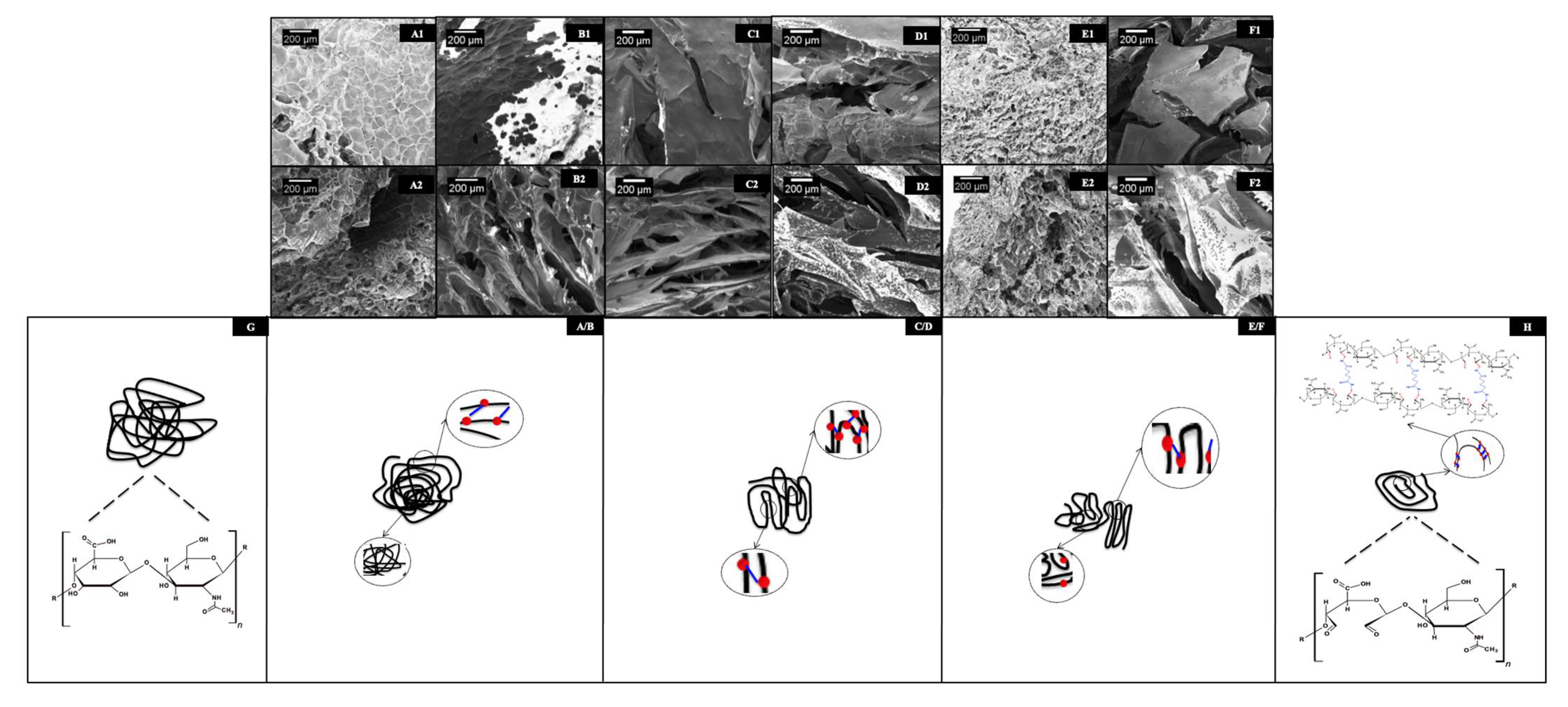 Polysaccharides 02 00029 g008