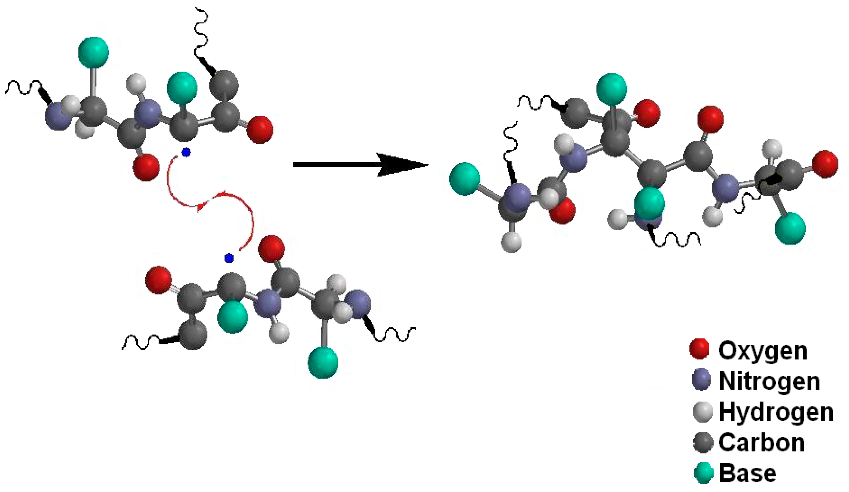Polysaccharides 02 00036 g004