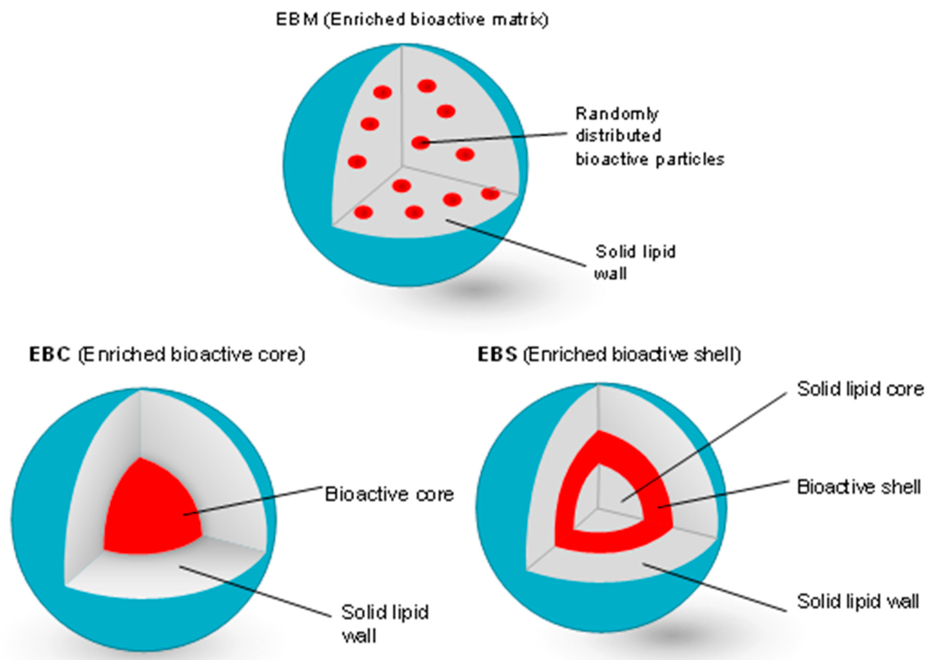 Polysaccharides 02 00036 g005