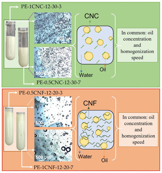 cnf pickering emulsion modeling cnf pickering emulsion modeling