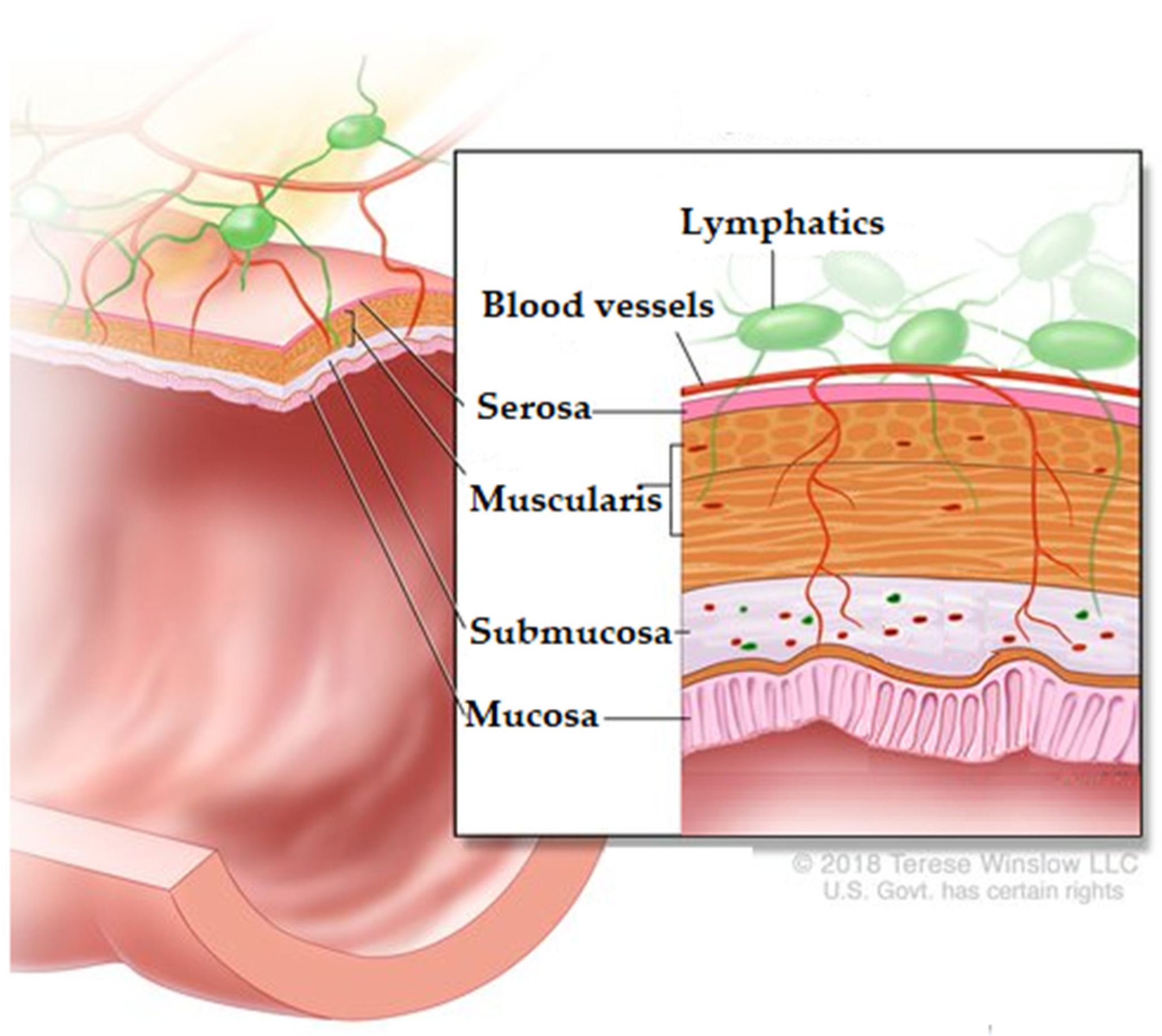 Polysaccharides 02 00038 g003 550