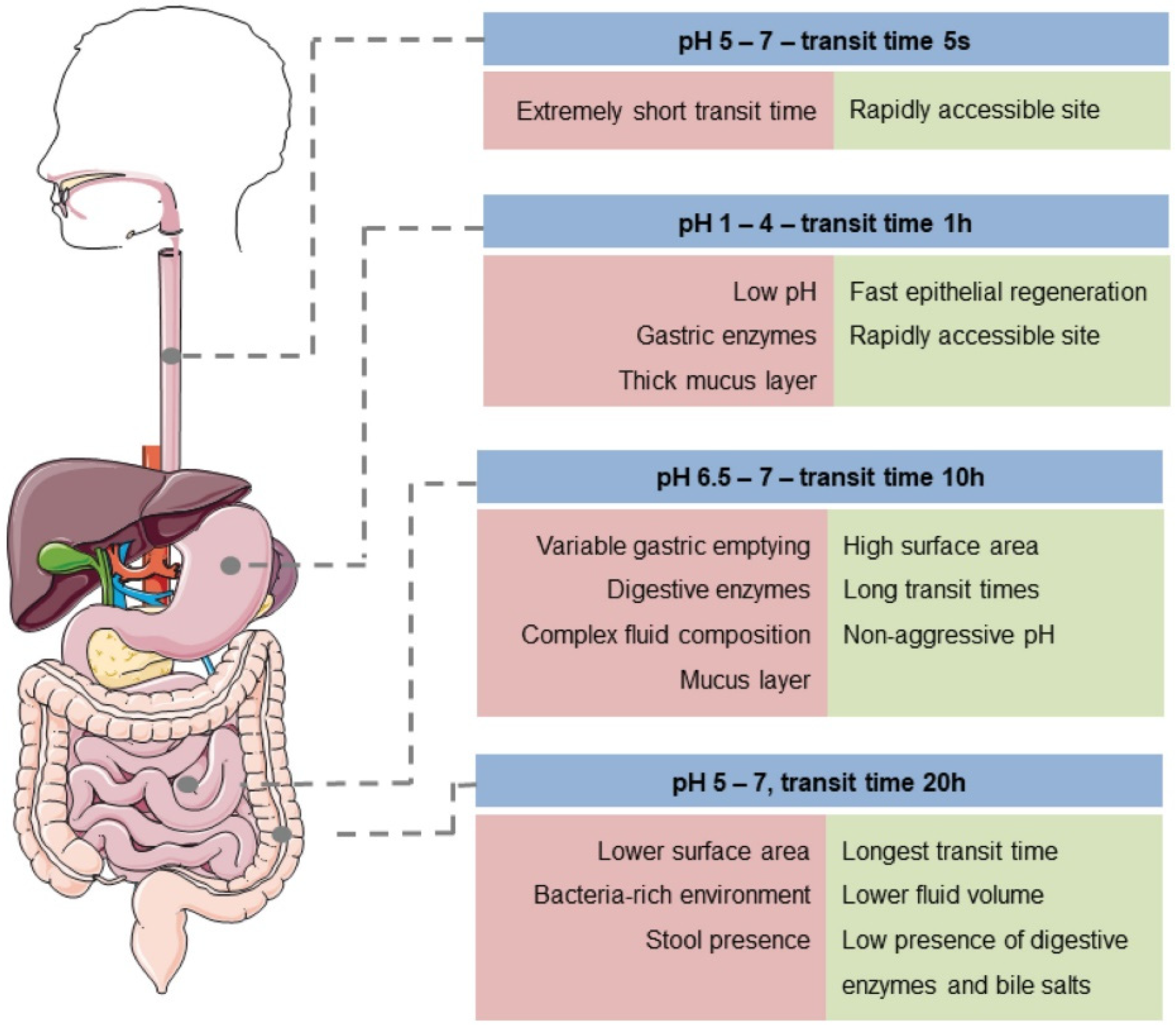 Polysaccharides 02 00038 g004 550