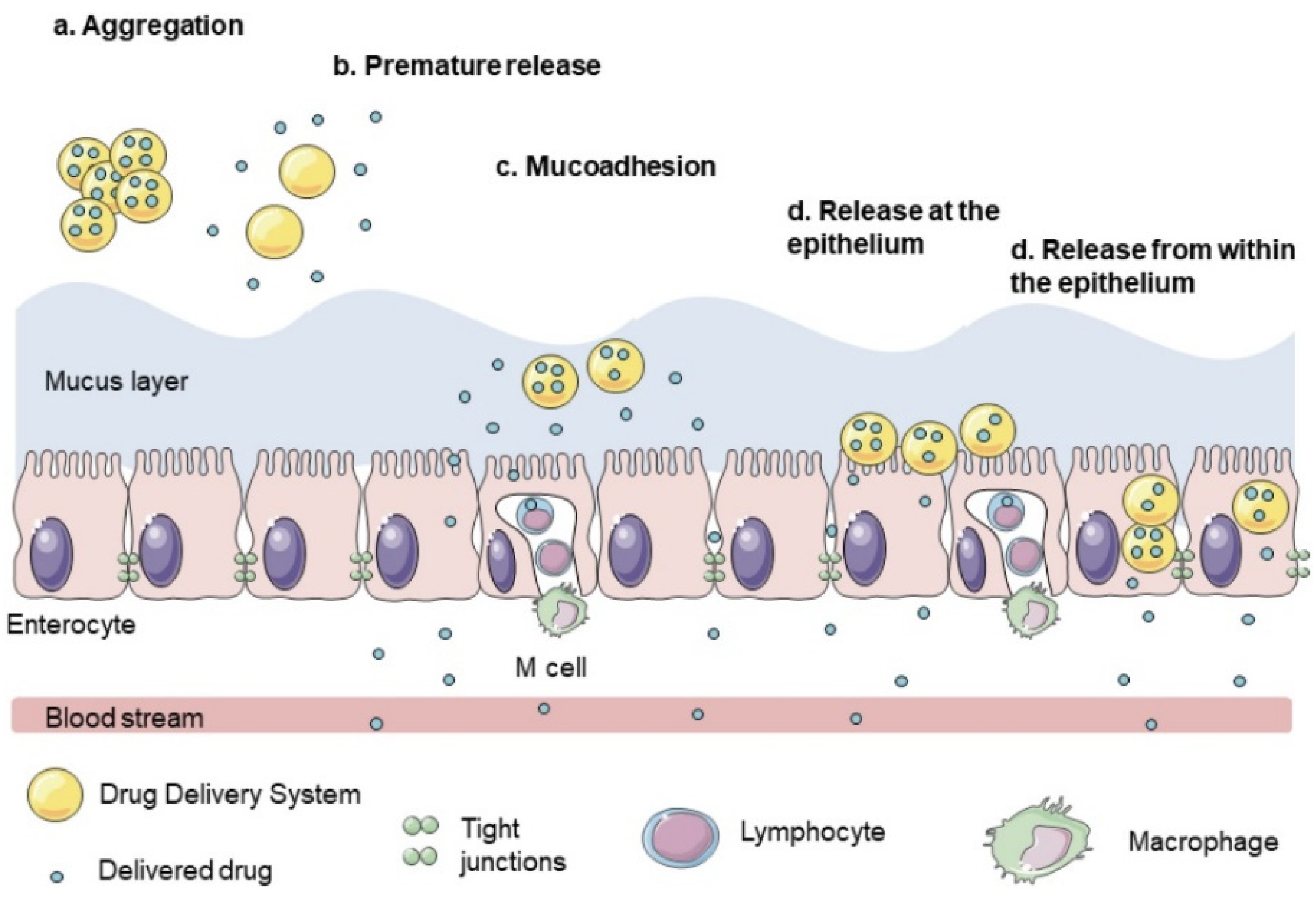 Polysaccharides 02 00038 g005 550