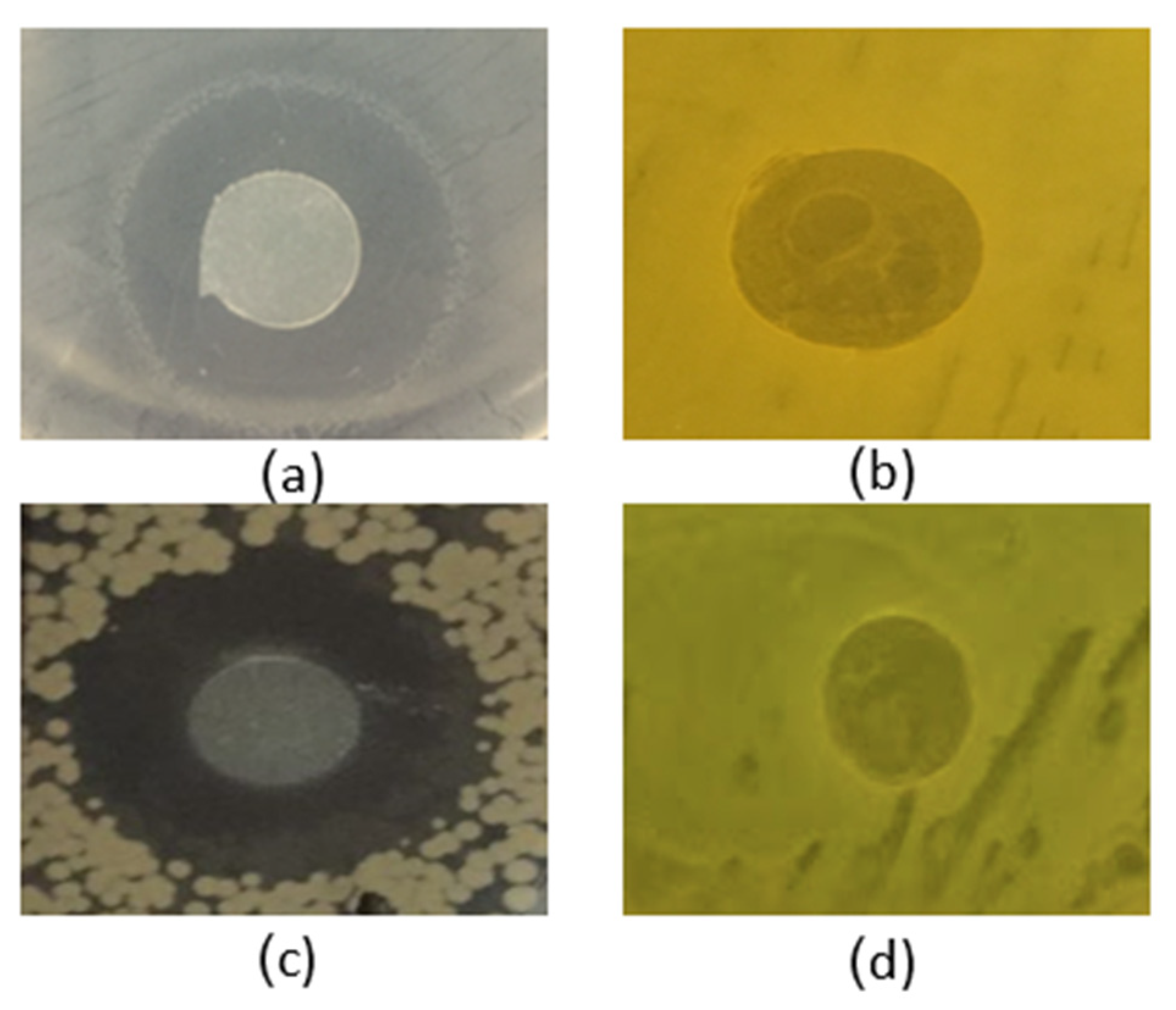 Polysaccharides 02 00040 g006