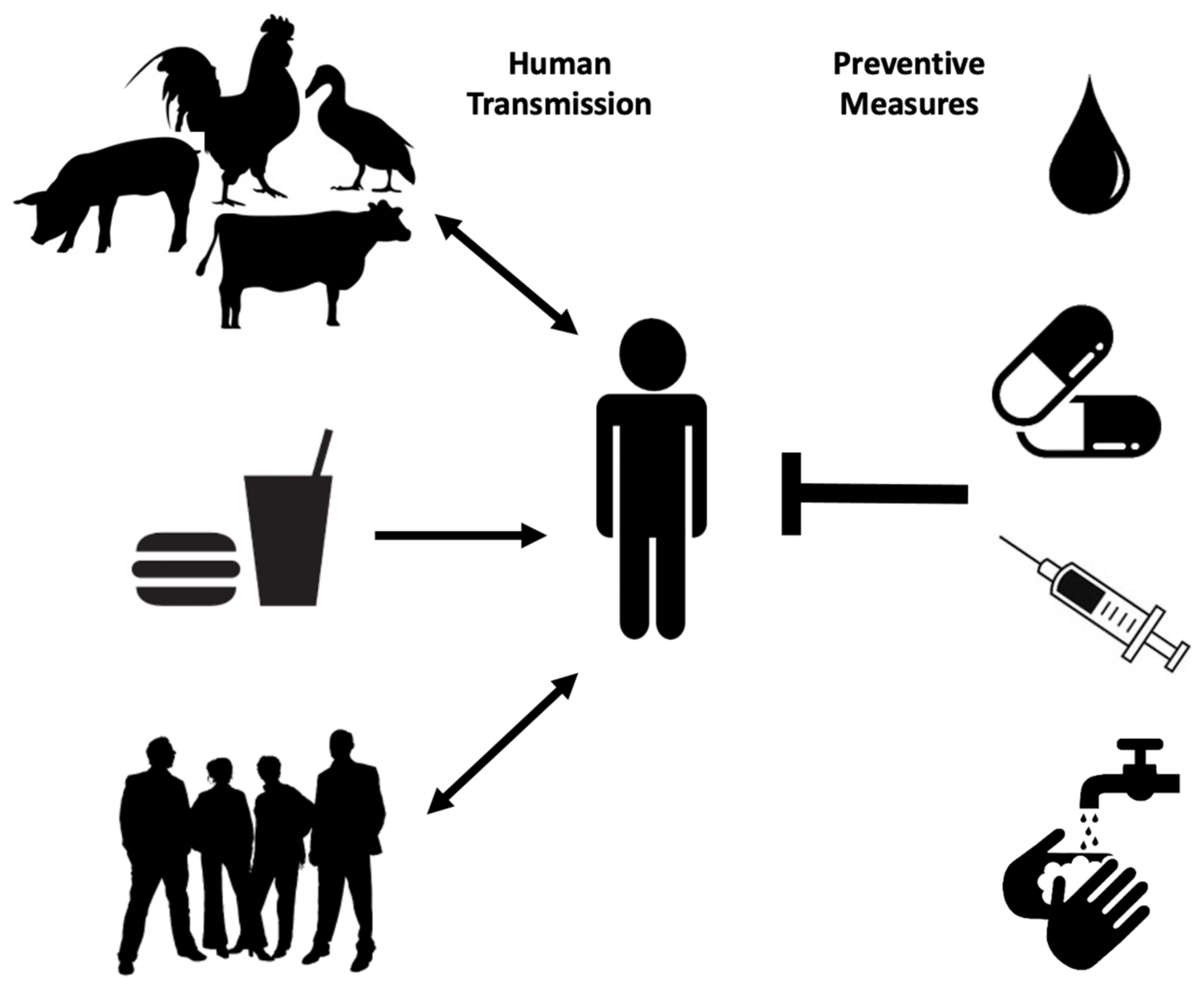 Polysaccharides | | Polysaccharide Vaccines: Perspective on Non-Typhoidal Salmonella | HTML