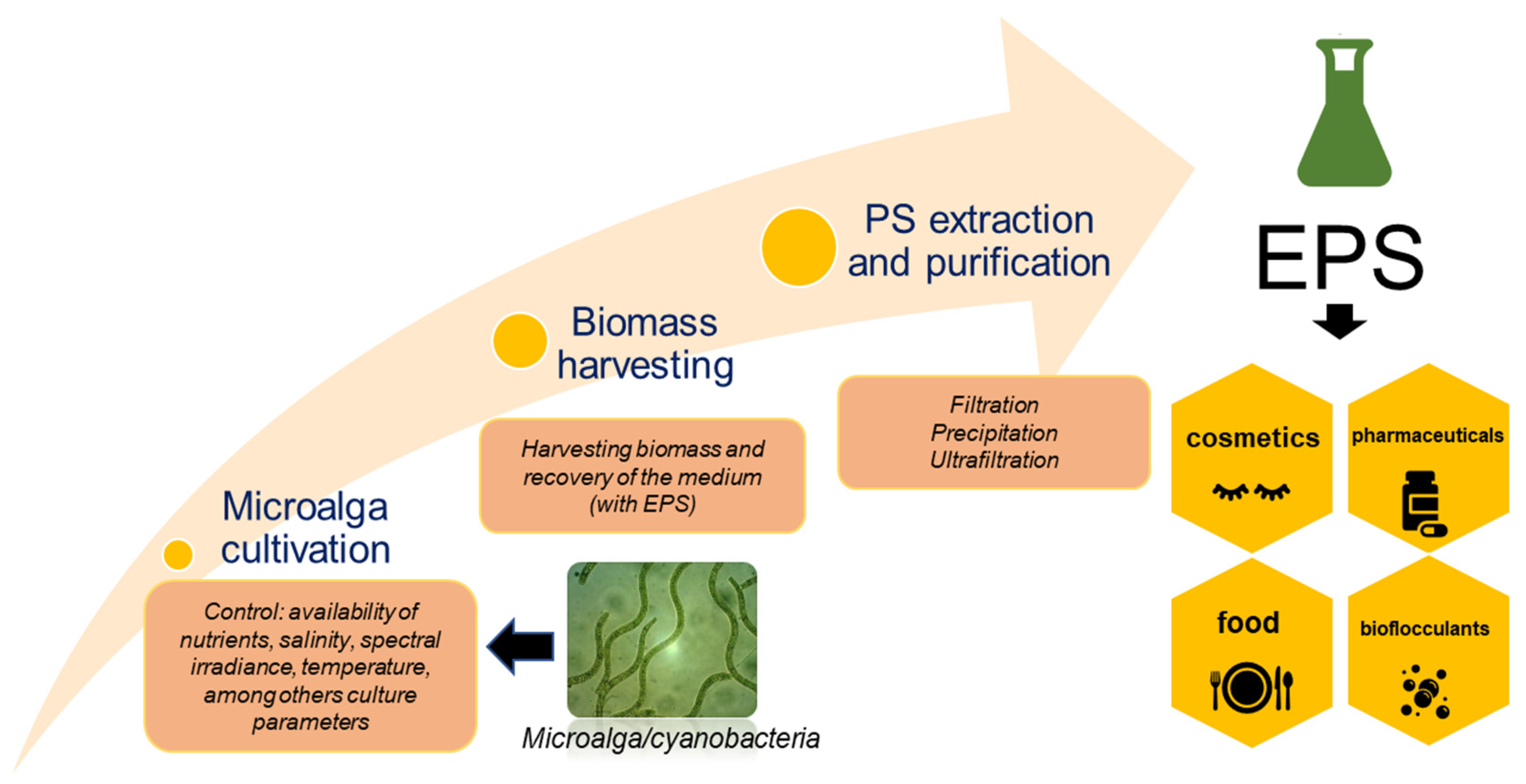 Polysaccharides 02 00046 g001 550
