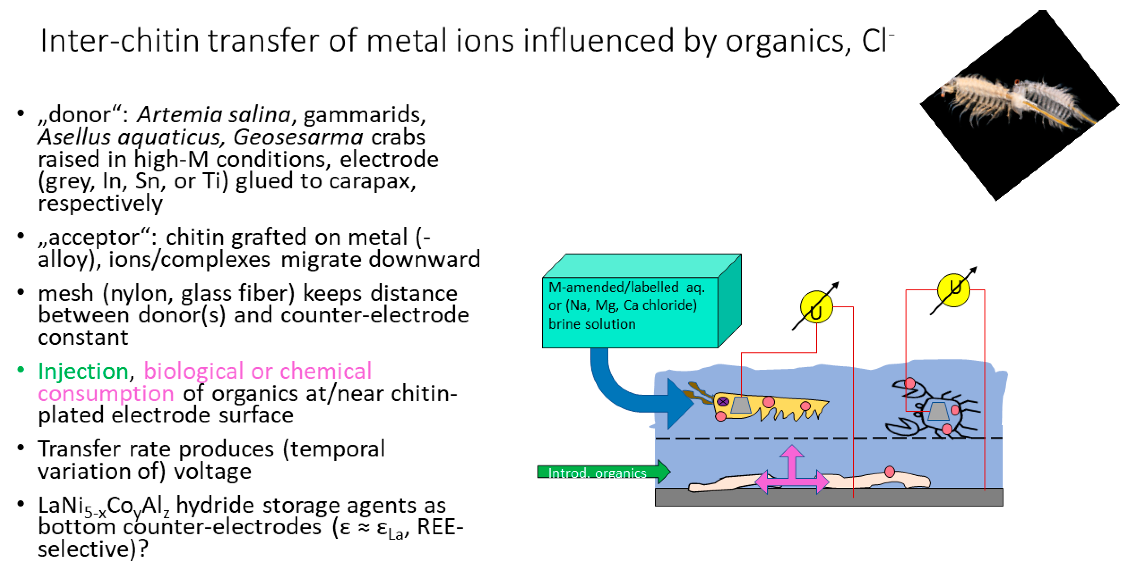 Polysaccharides 02 00047 g008 Polysaccharides 02 00047 g008