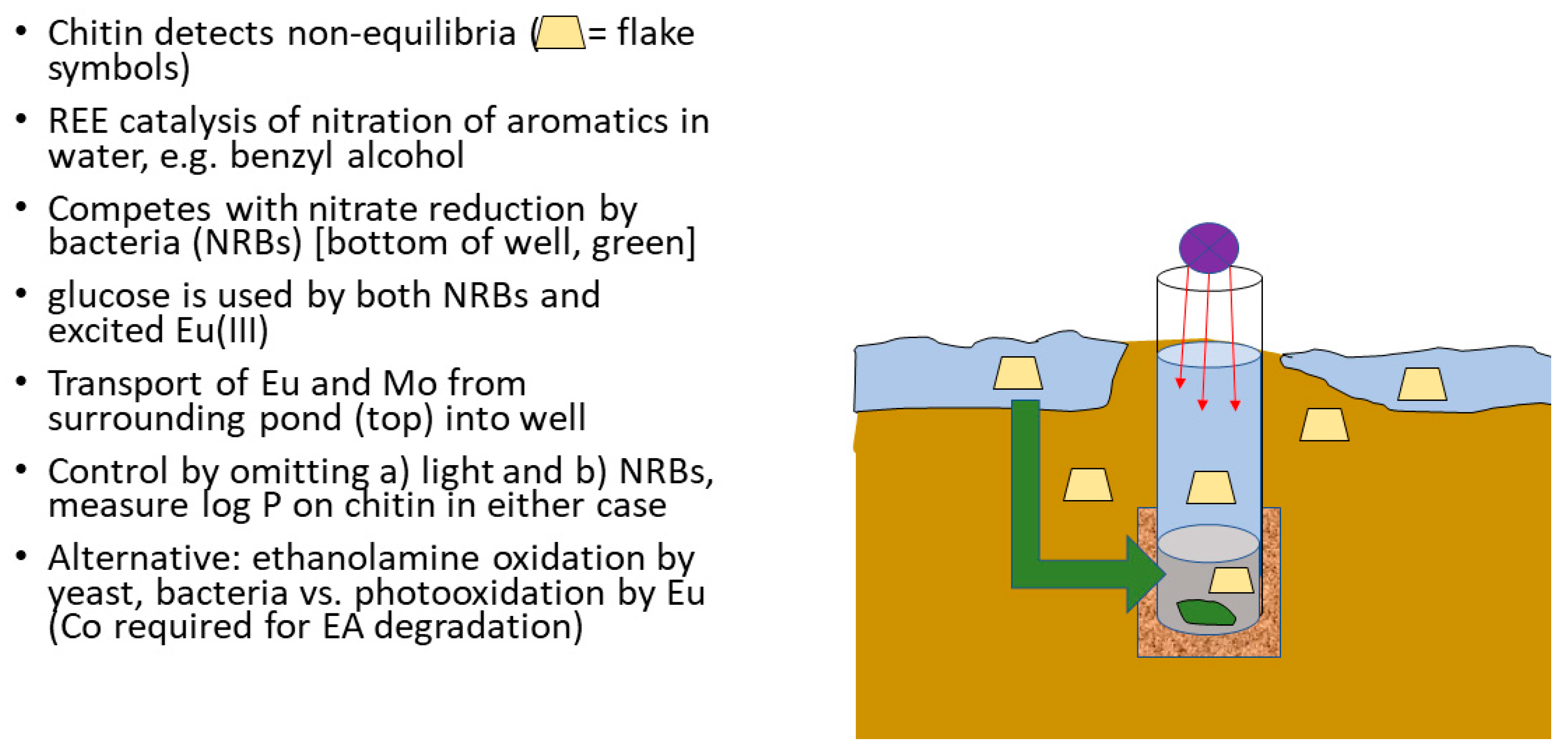 Polysaccharides 02 00047 g009 Polysaccharides 02 00047 g009