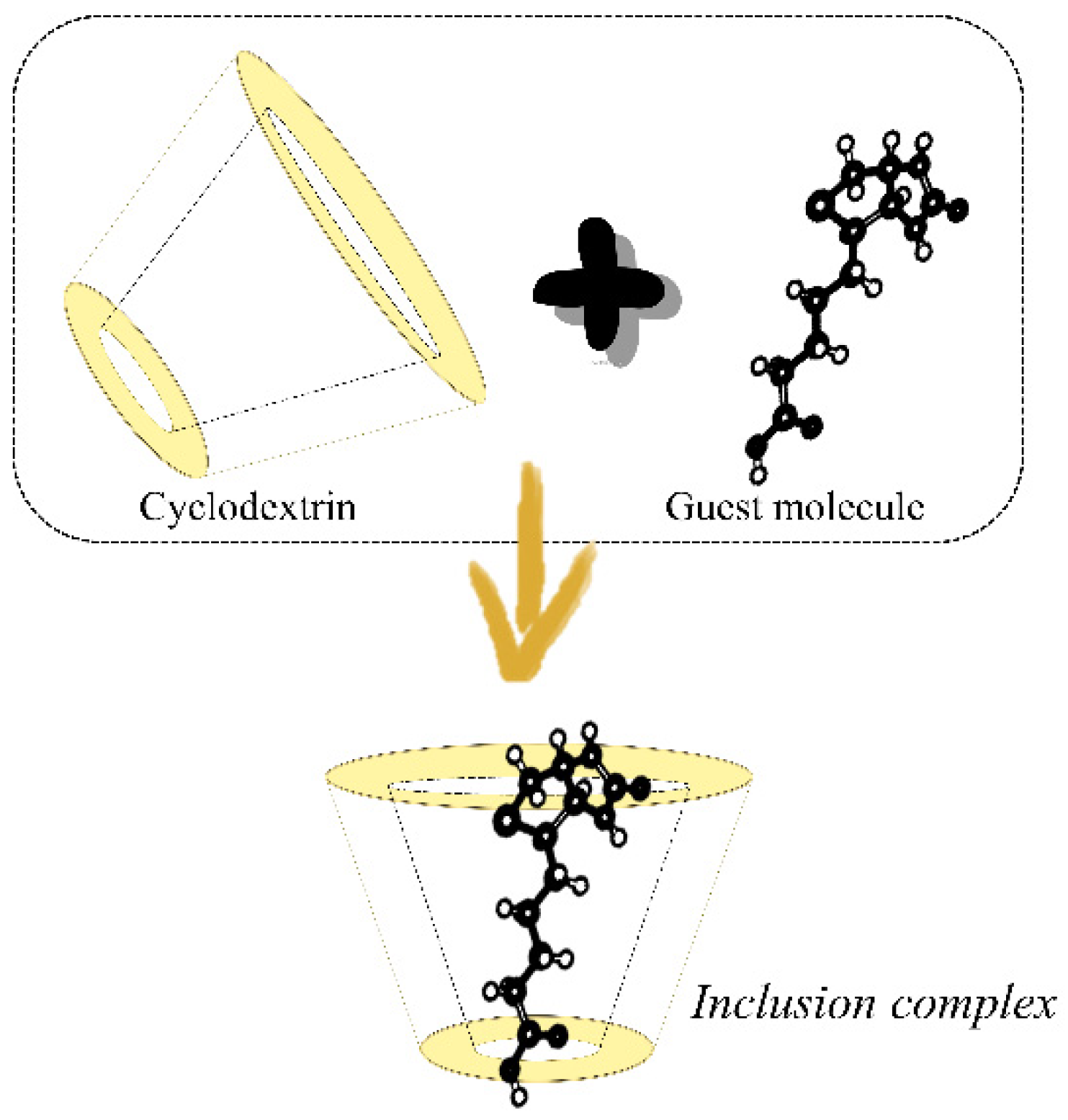Polysaccharides 02 00050 g001