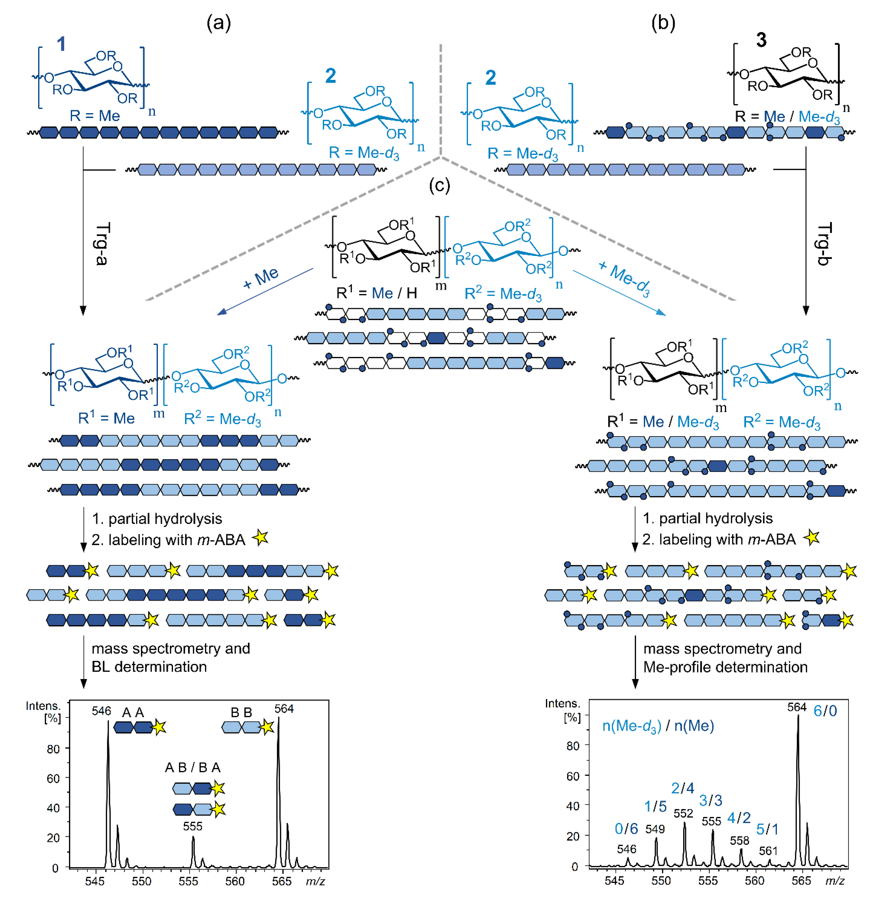 Polysaccharides 02 00051 g005