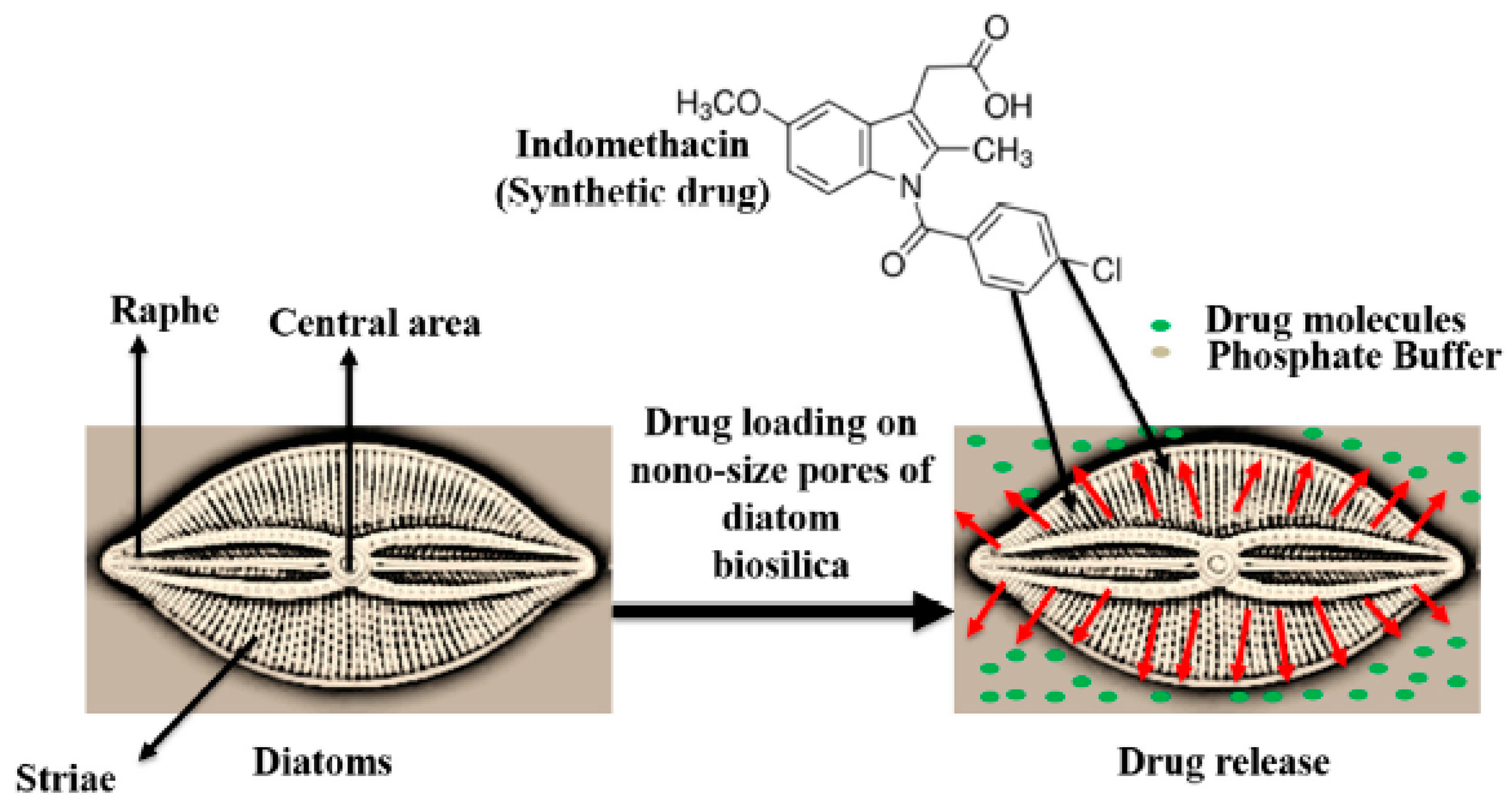 Polysaccharides 03 00004 g002 Polysaccharides 03 00004 g002