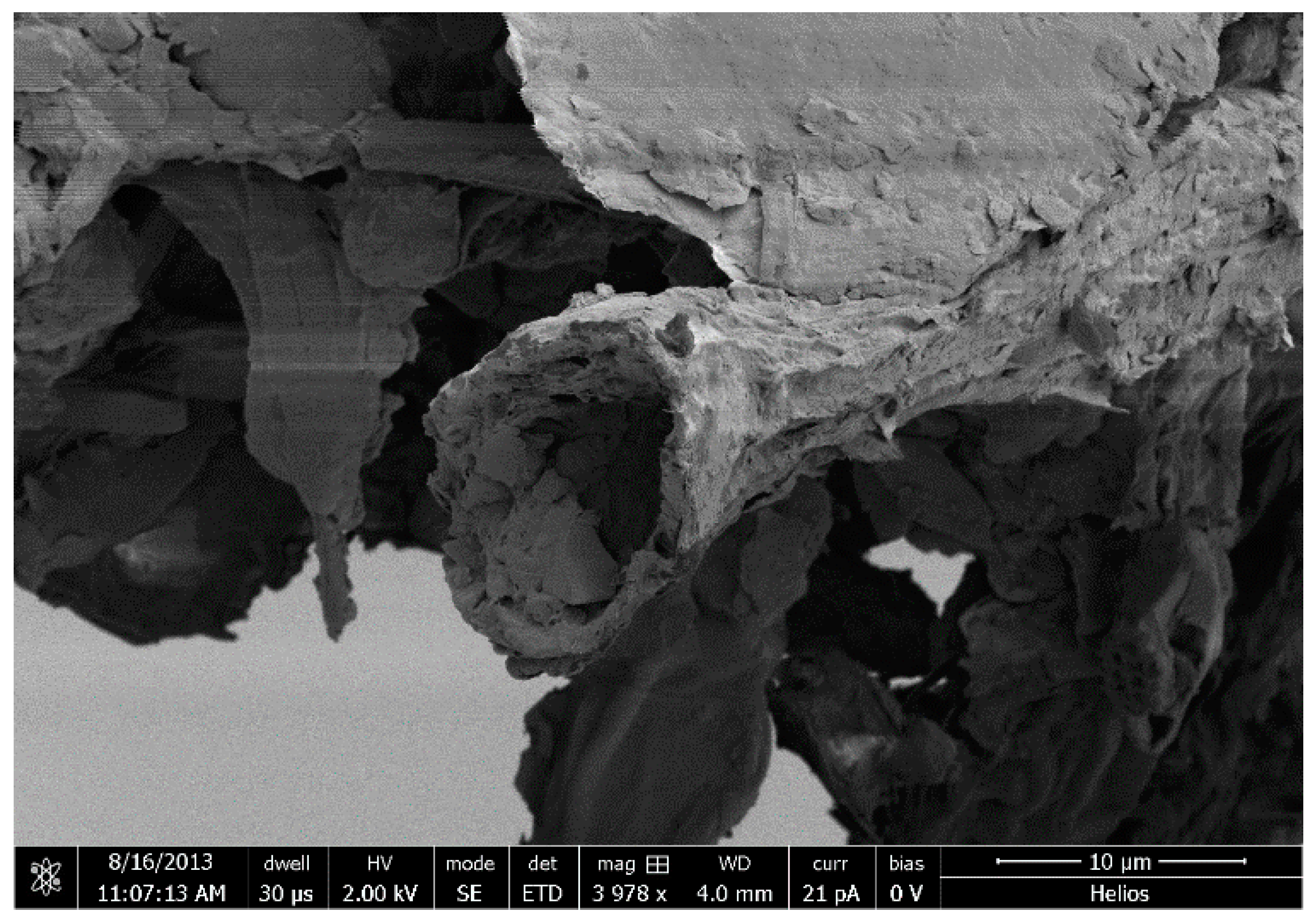 Polysaccharides 03 00004 g003 Polysaccharides 03 00004 g003