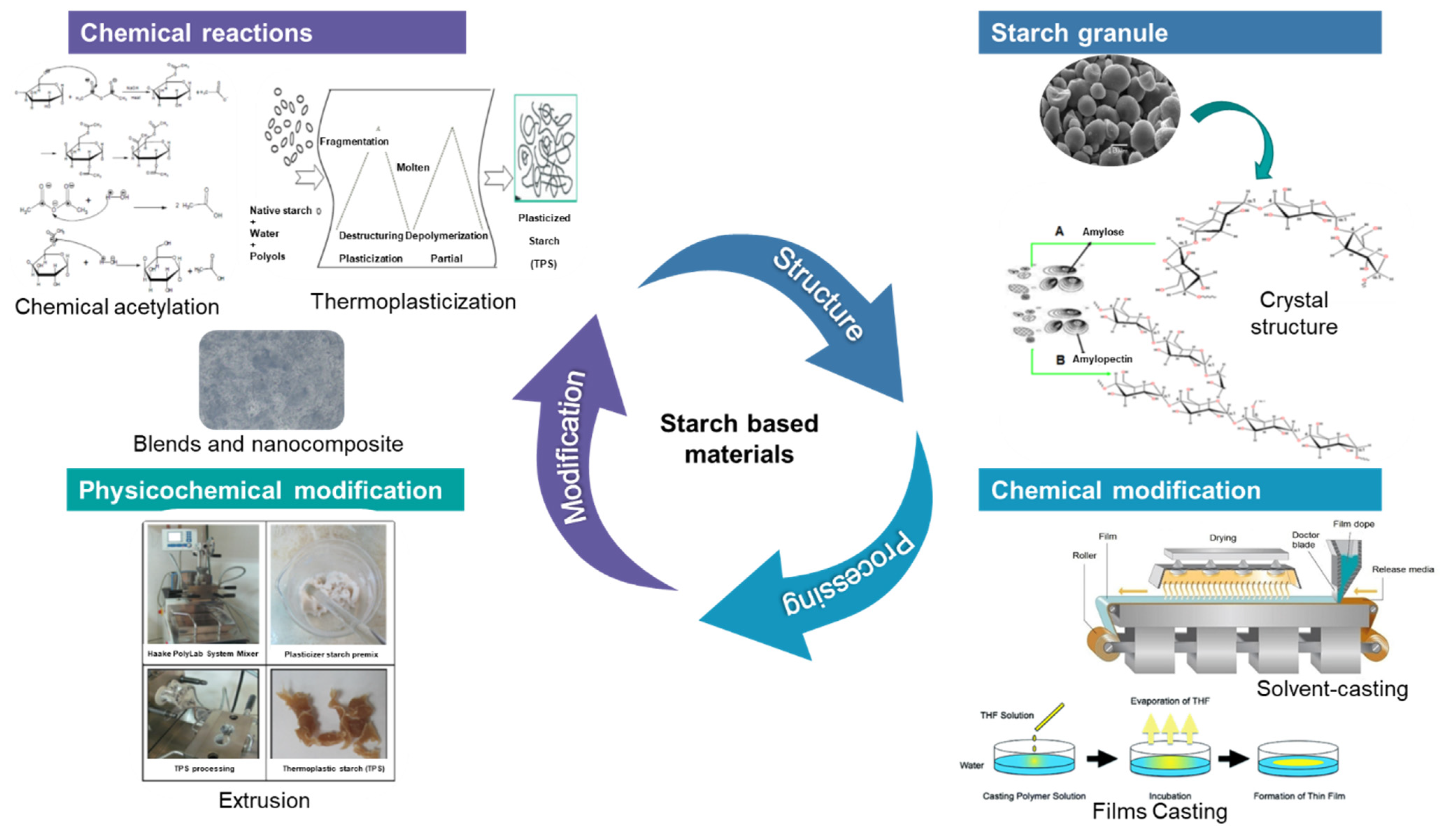 Polysaccharides 03 00007 g001 Polysaccharides 03 00007 g001