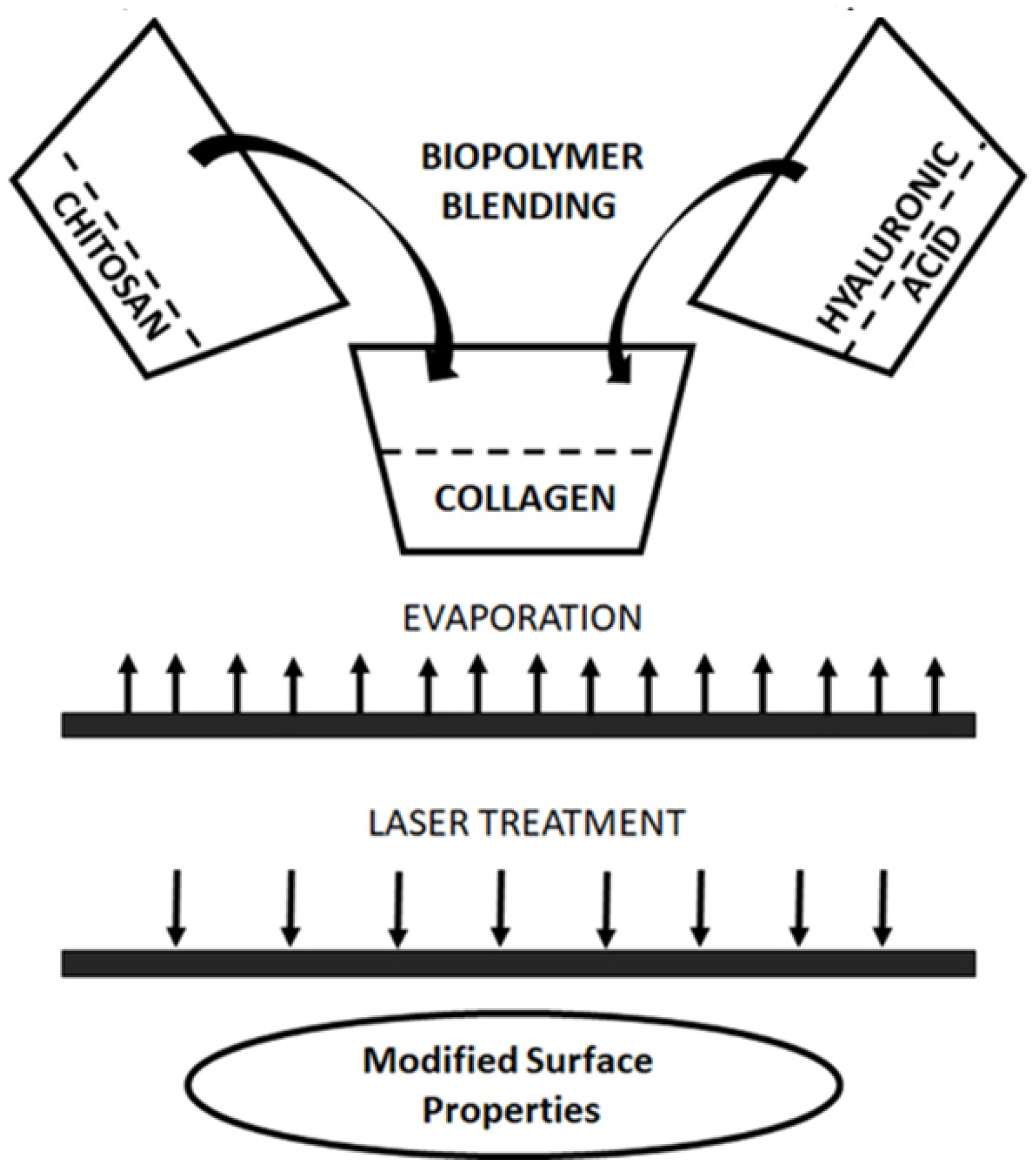 Polysaccharides 03 00008 g001 550