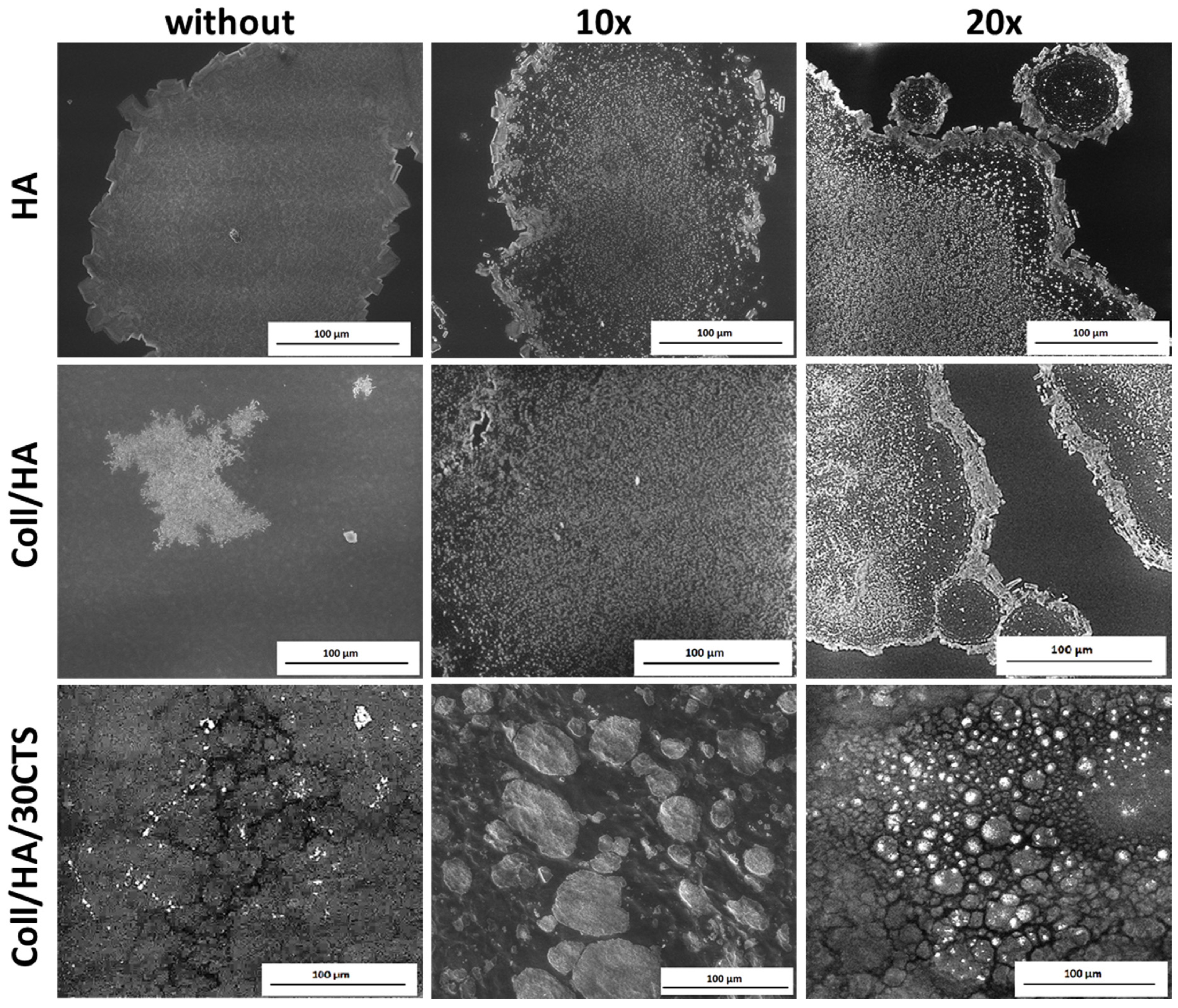 Polysaccharides 03 00008 g003 550