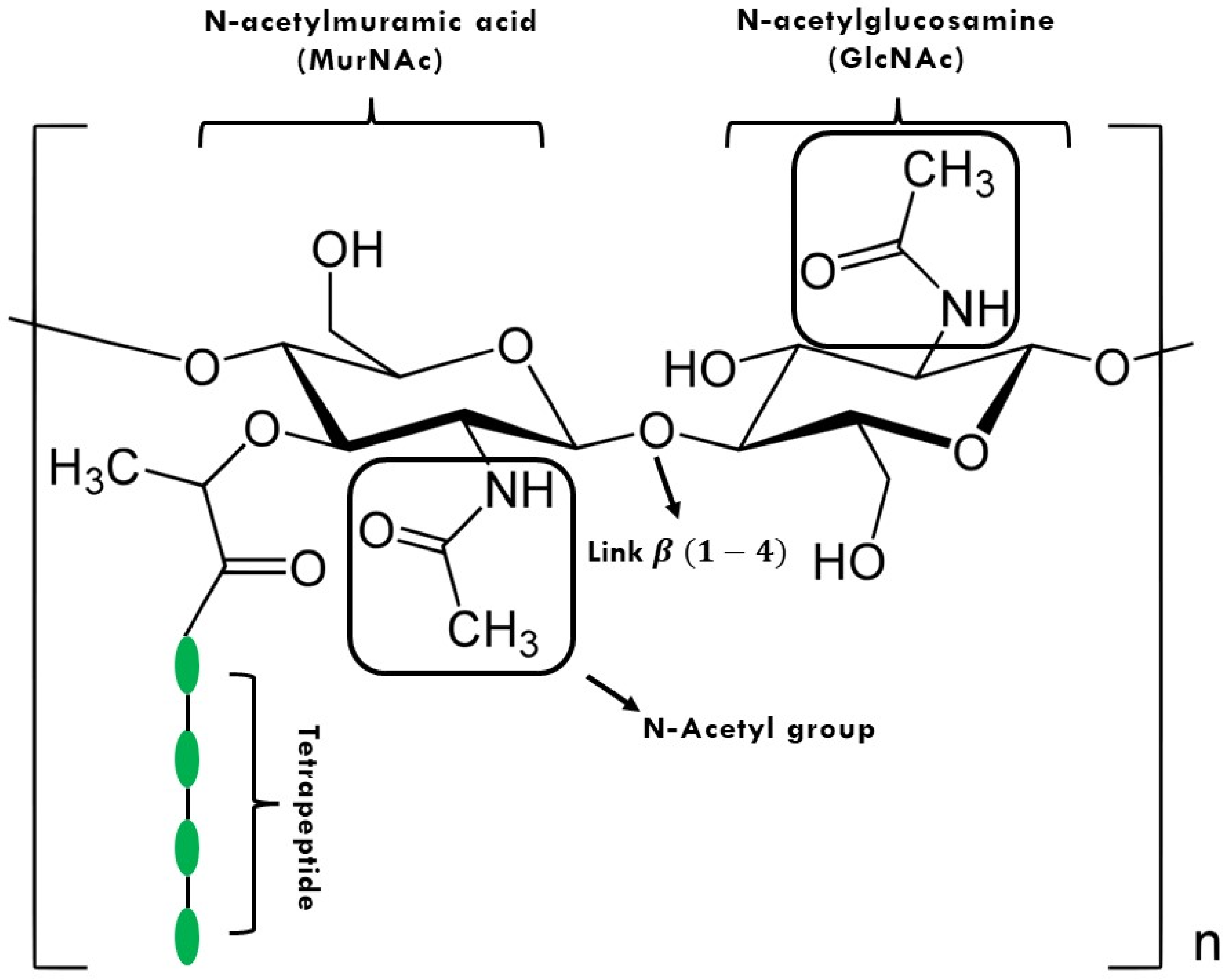Polysaccharides 03 00018 g001