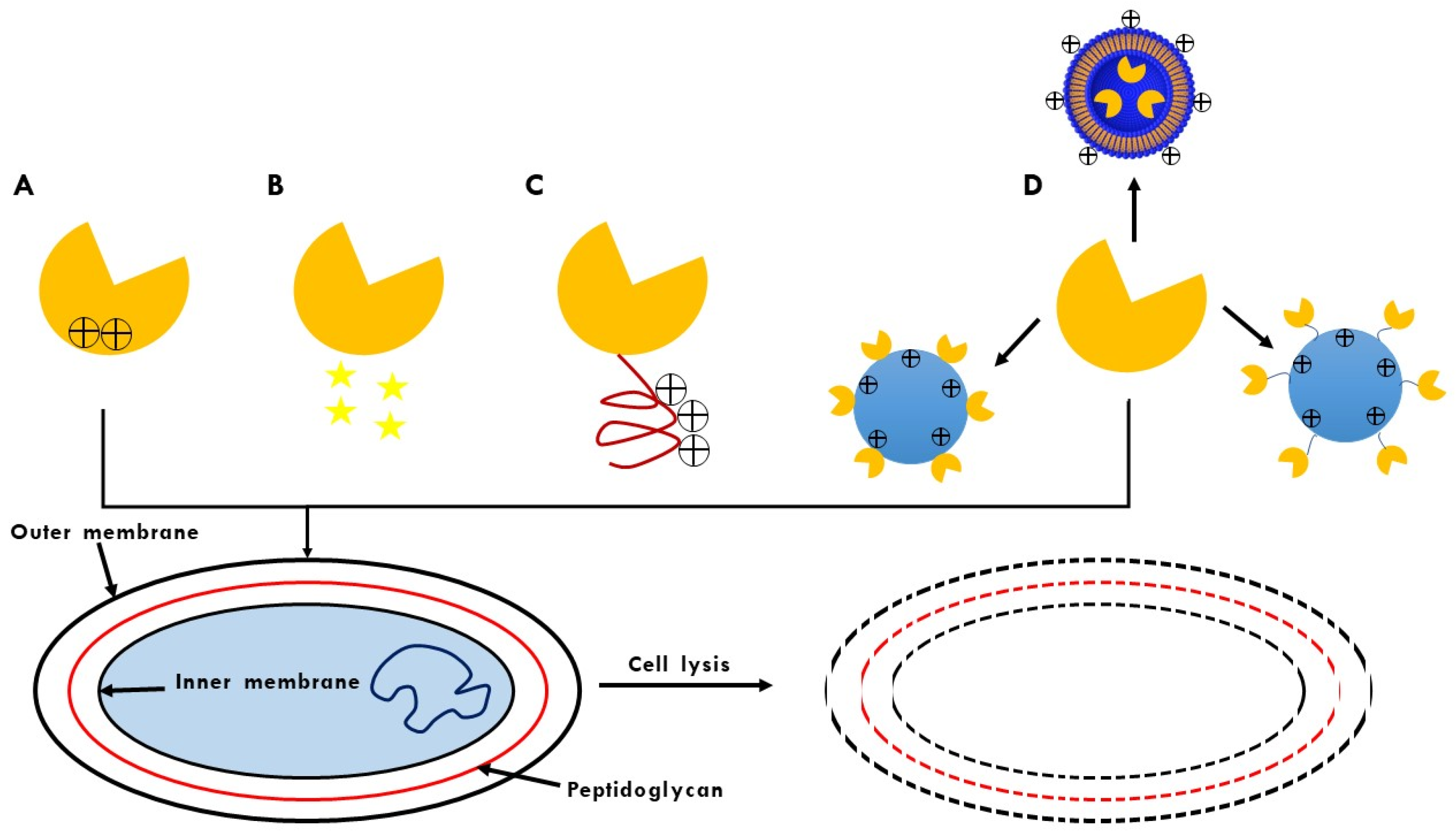 Polysaccharides 03 00018 g003