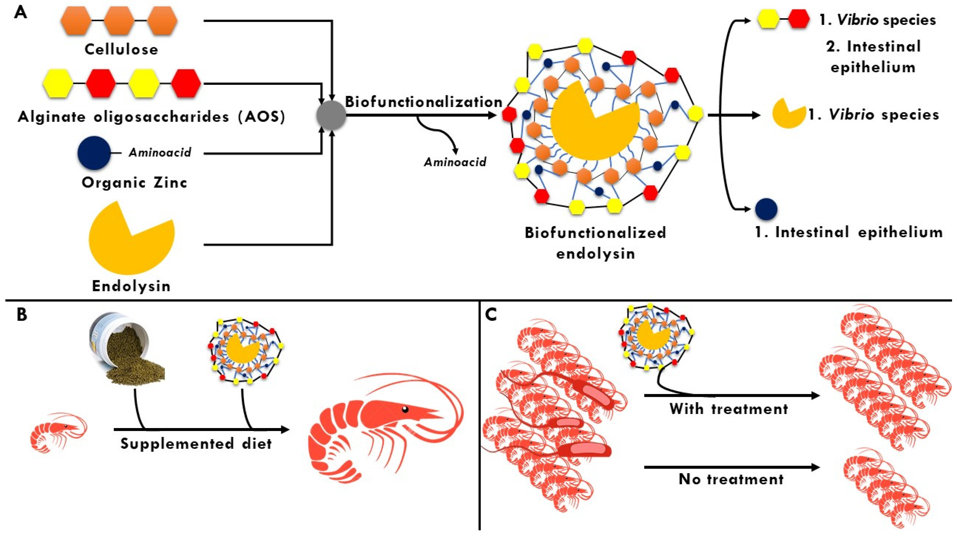 Polysaccharides 03 00018 g004