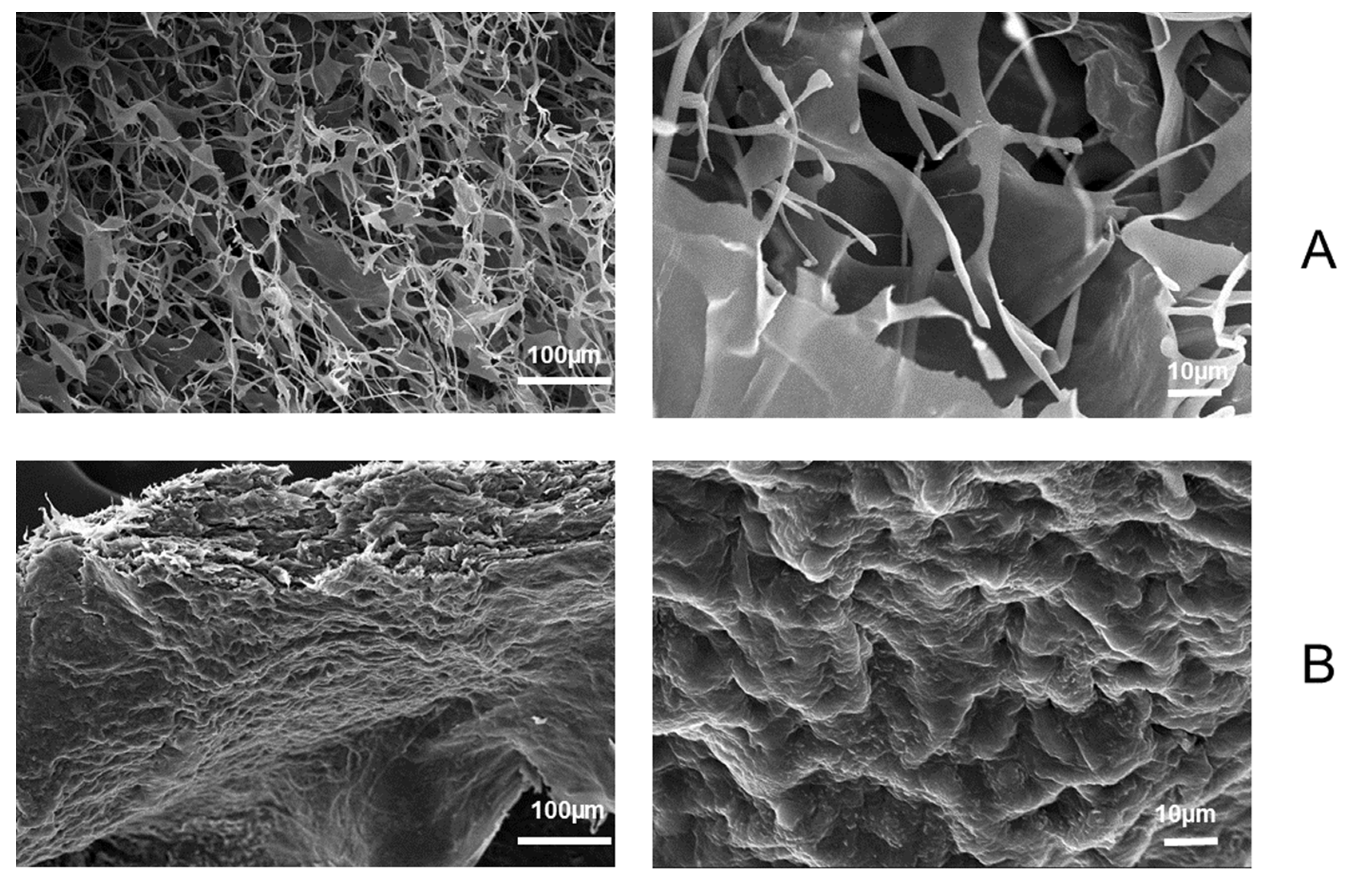 Polysaccharides 03 00020 g003 550