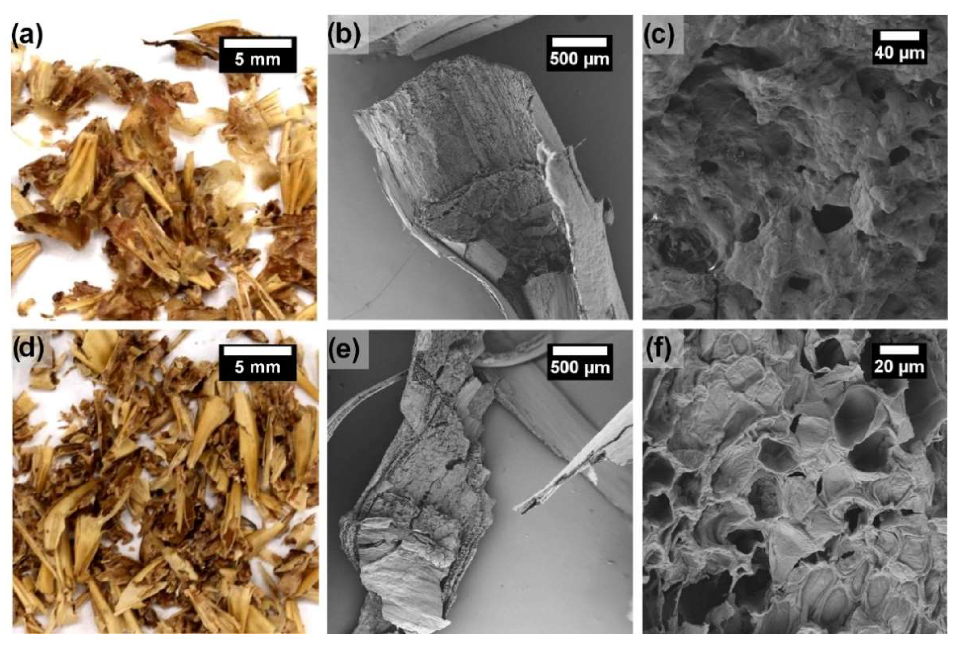 Polysaccharides 03 00021 g003 Polysaccharides 03 00021 g003