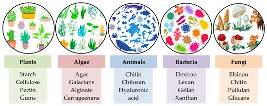 Polysaccharides | Free Full-Text | Polysaccharides: Sources,  Characteristics, Properties, and Their Application in Biodegradable Films