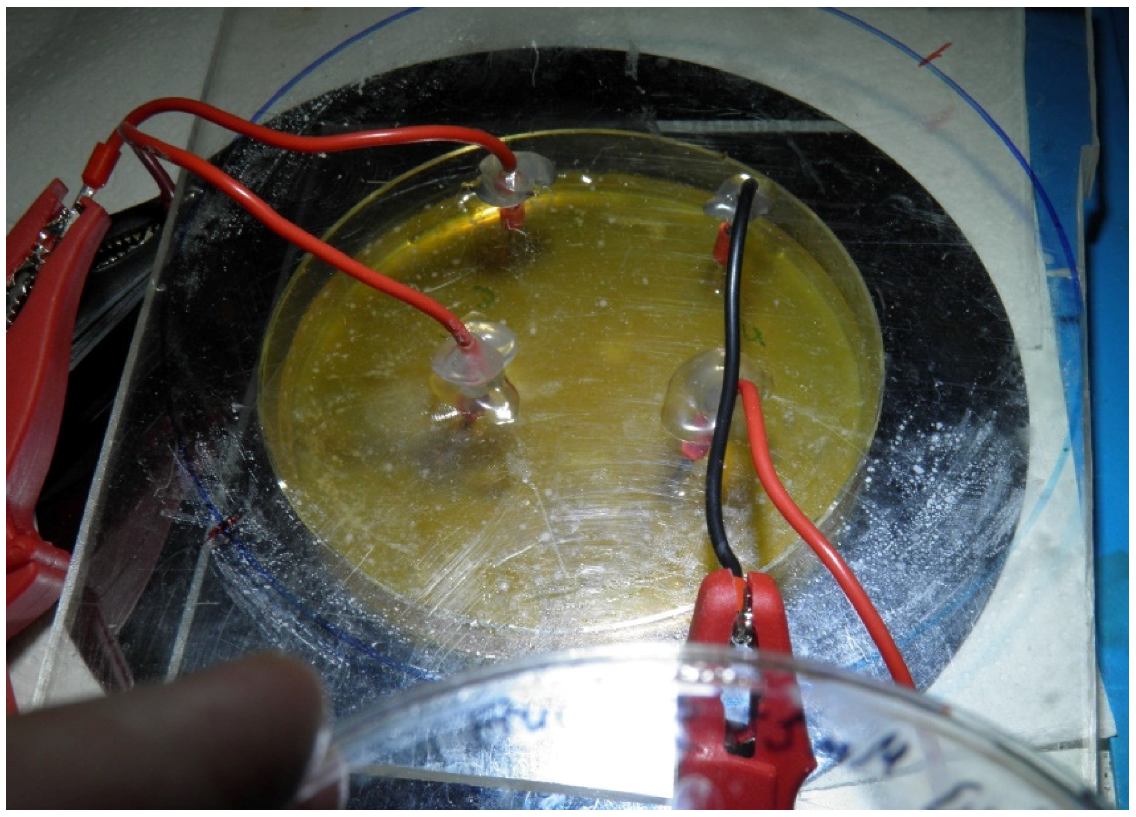 Polysaccharides 03 00031 g006