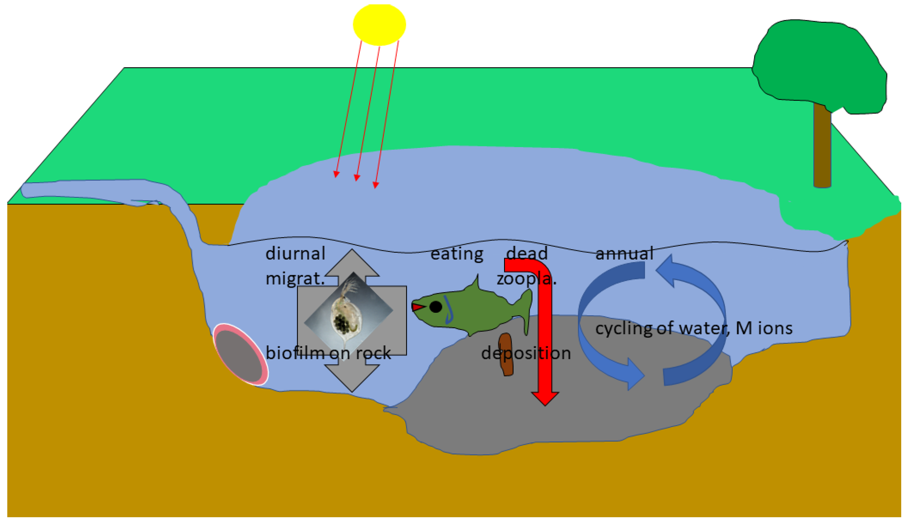 Polysaccharides 03 00031 g011