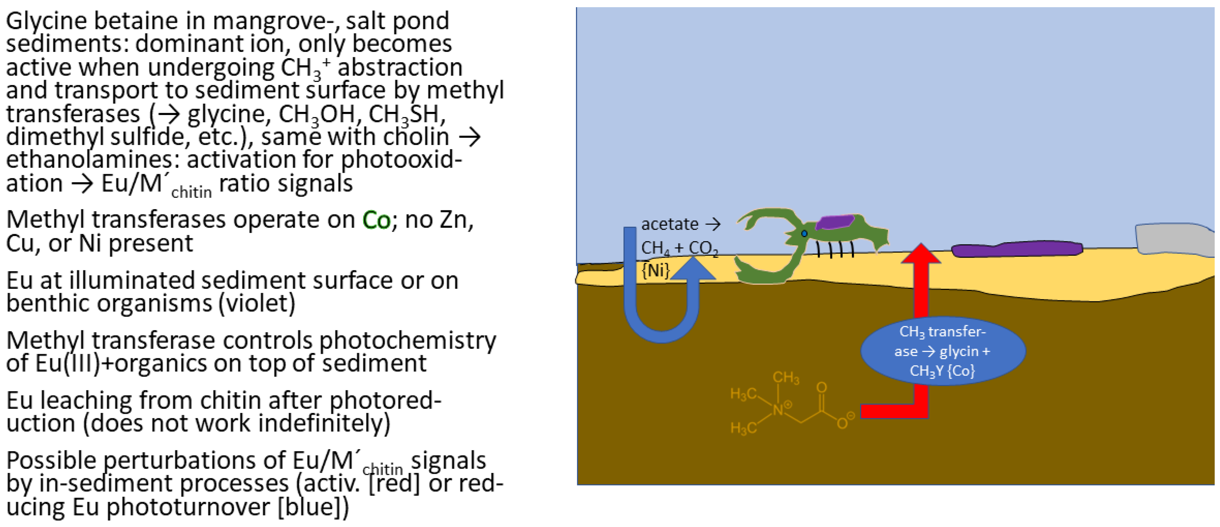 Polysaccharides 03 00031 g013