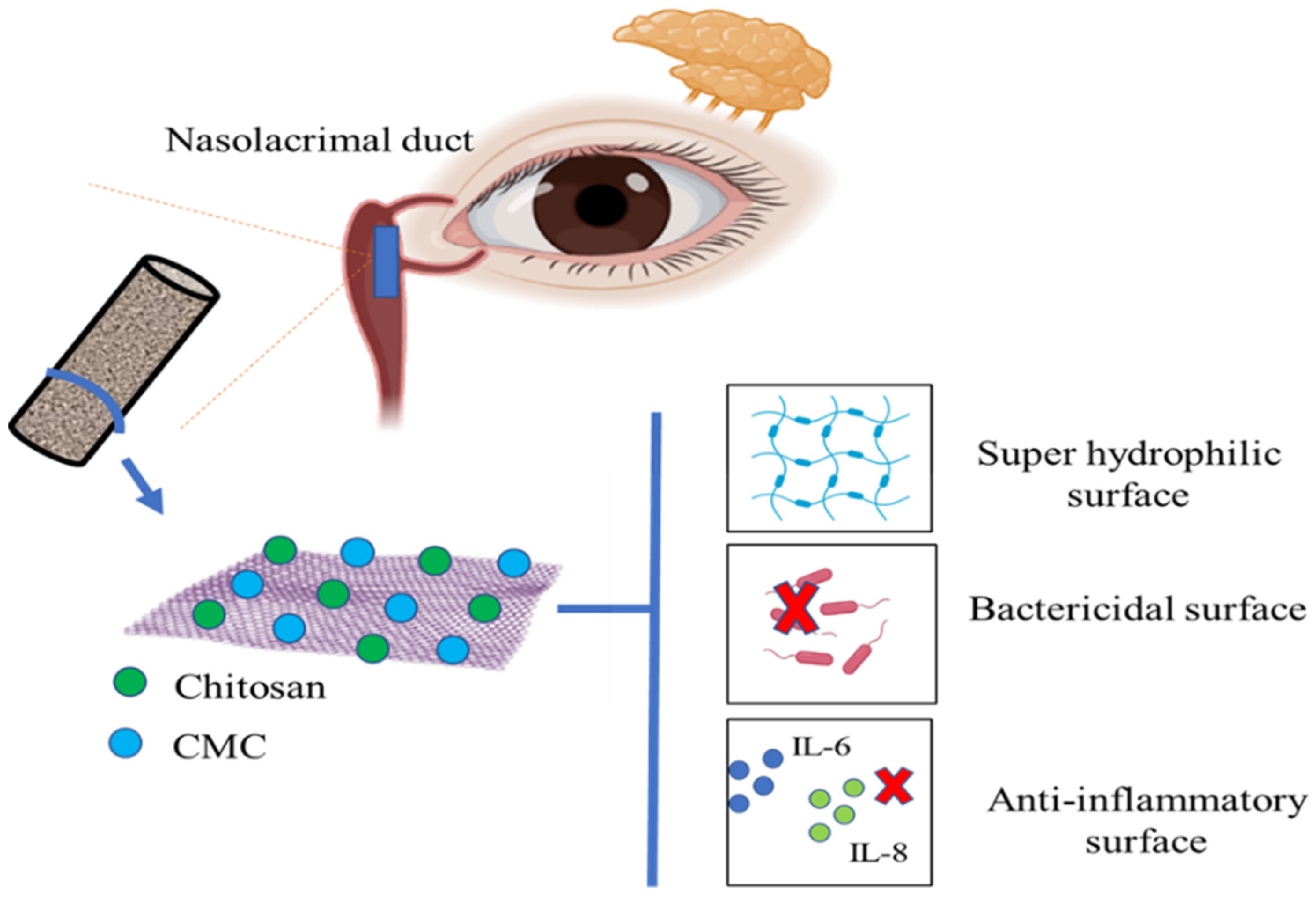 Polysaccharides 03 00037 g007 550