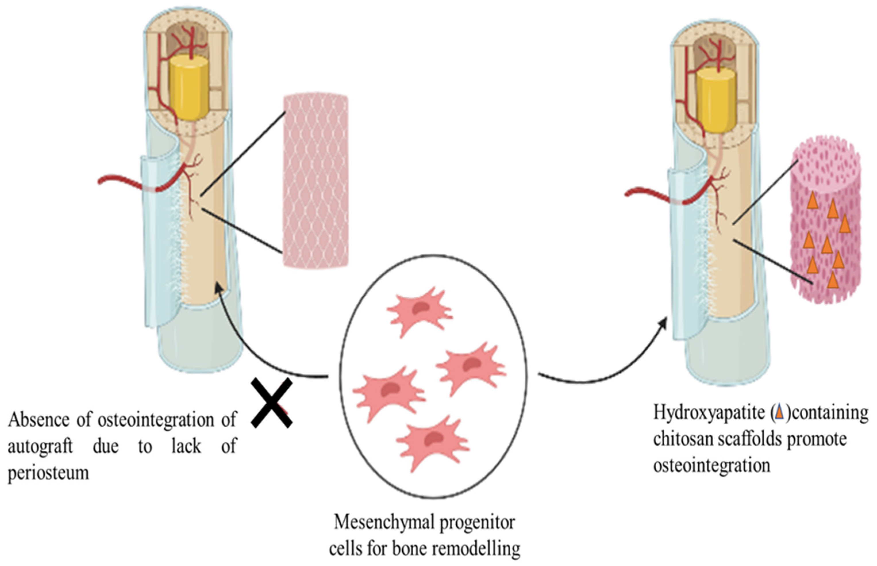Polysaccharides 03 00037 g009 550