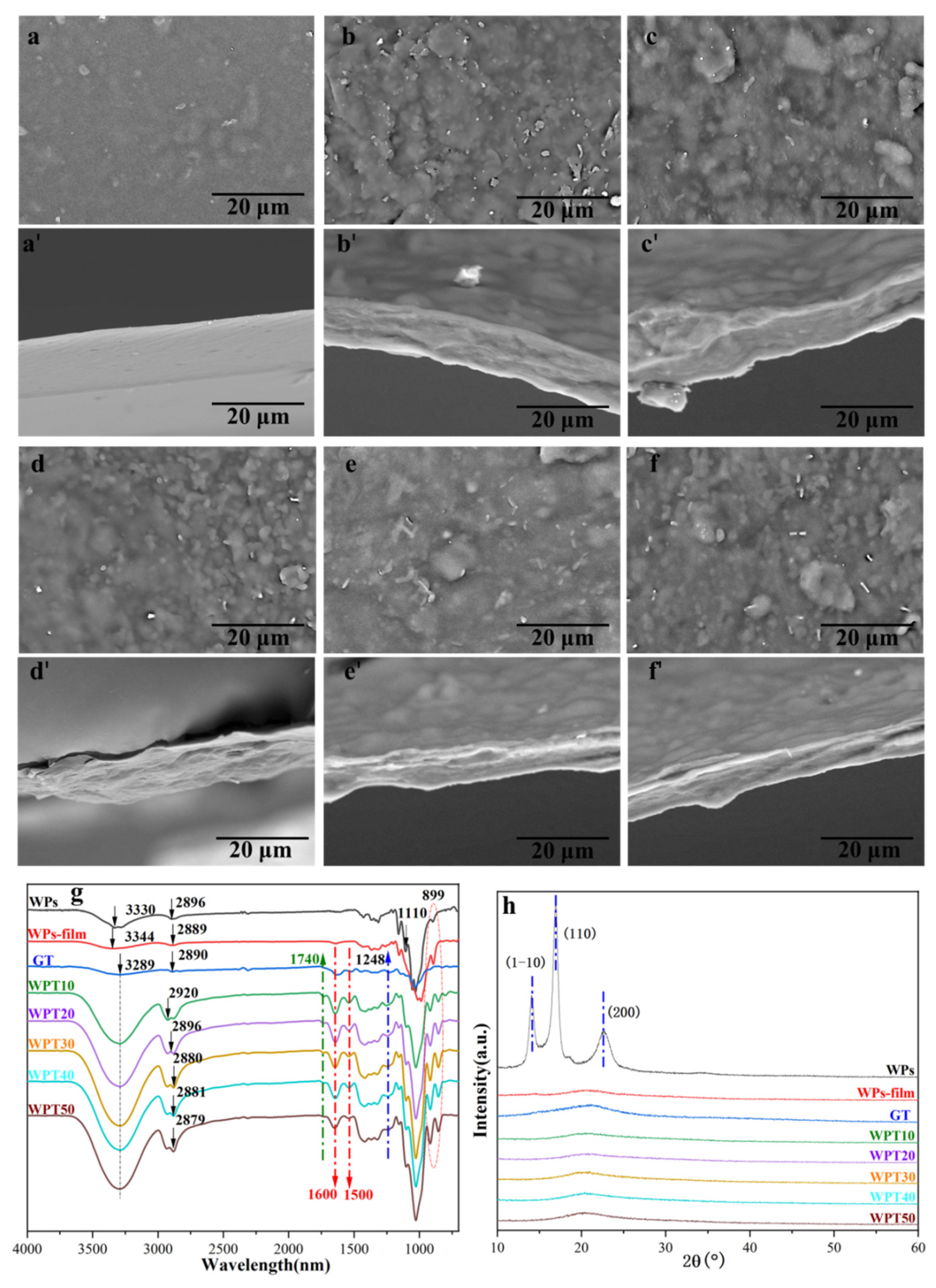 Polysaccharides 03 00045 g005 Polysaccharides 03 00045 g005