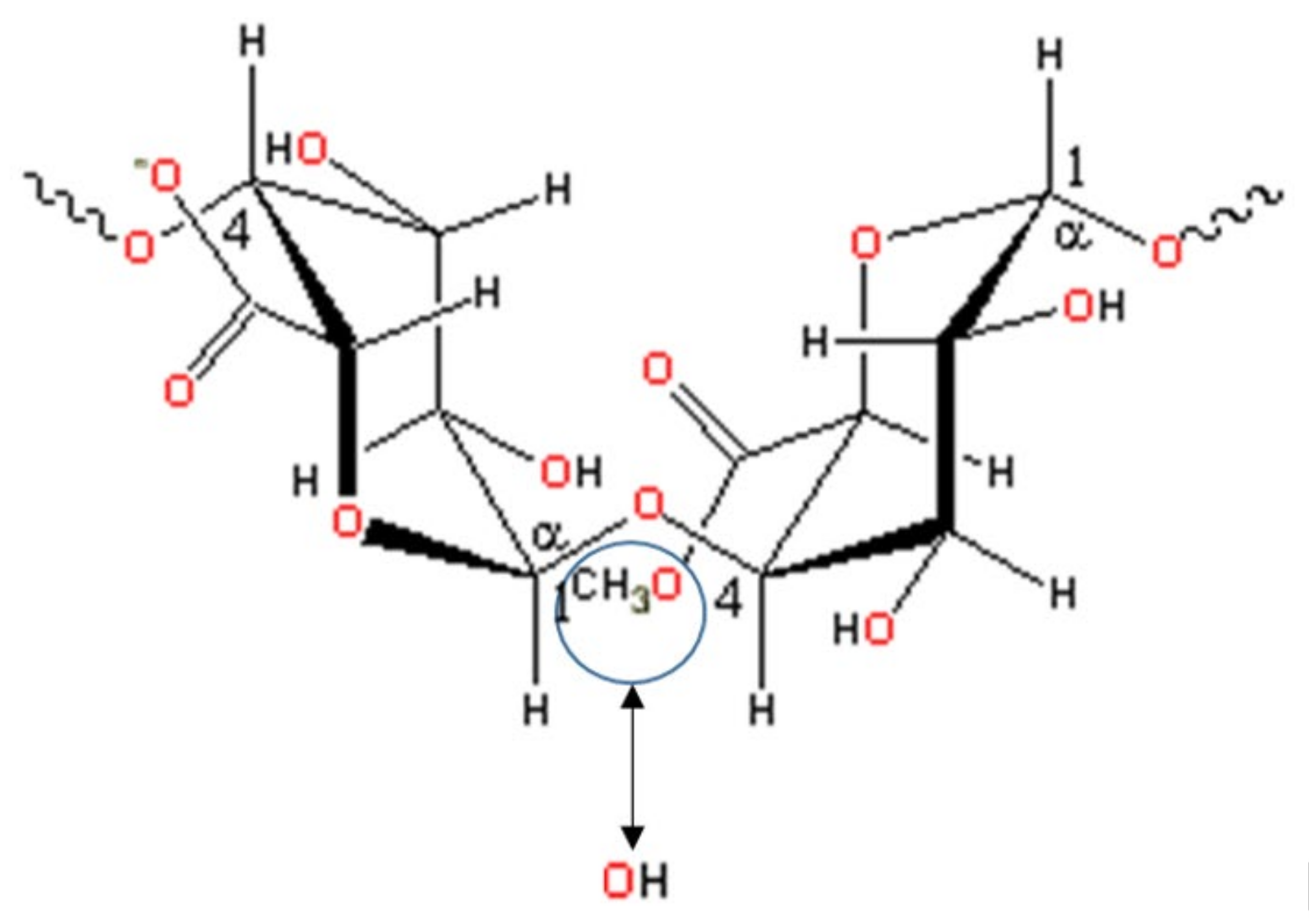 Polysaccharides 04 00001 g002 Polysaccharides 04 00001 g002