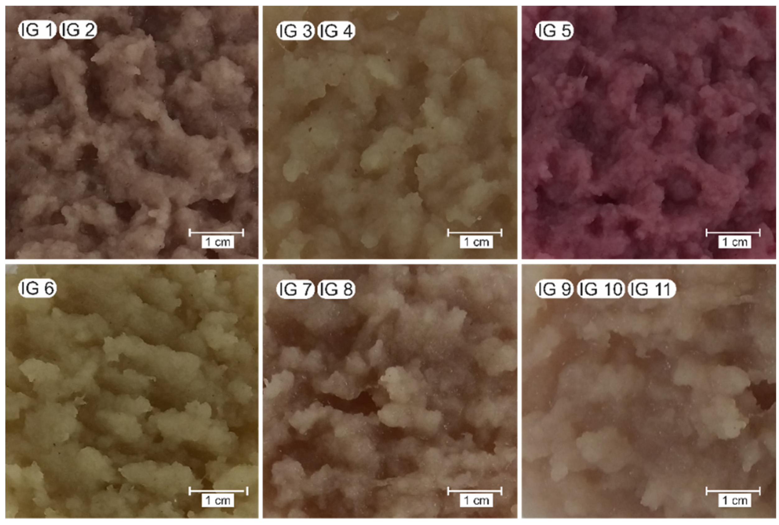 Polysaccharides 04 00002 g001 Polysaccharides 04 00002 g001