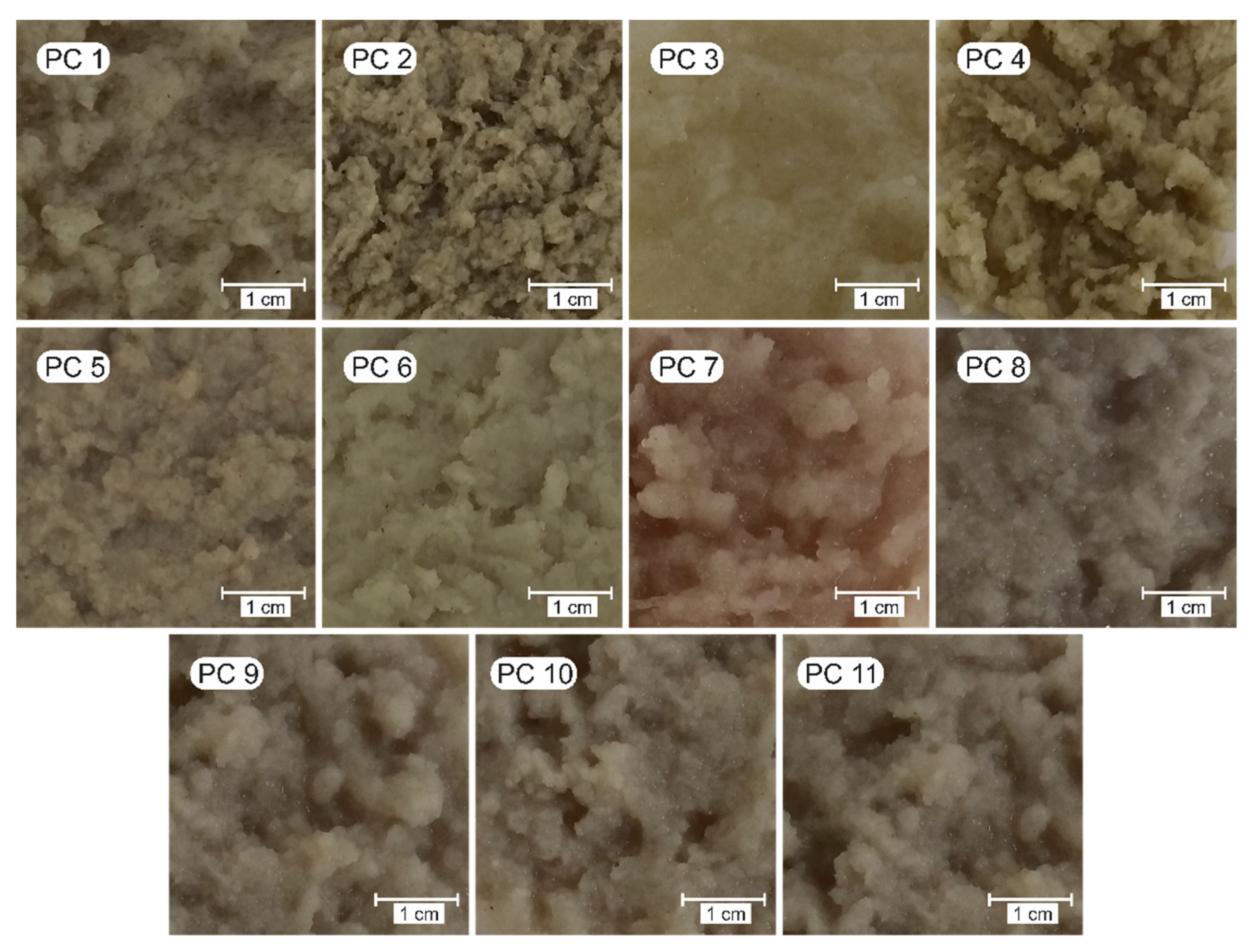 Polysaccharides 04 00002 g002 Polysaccharides 04 00002 g002