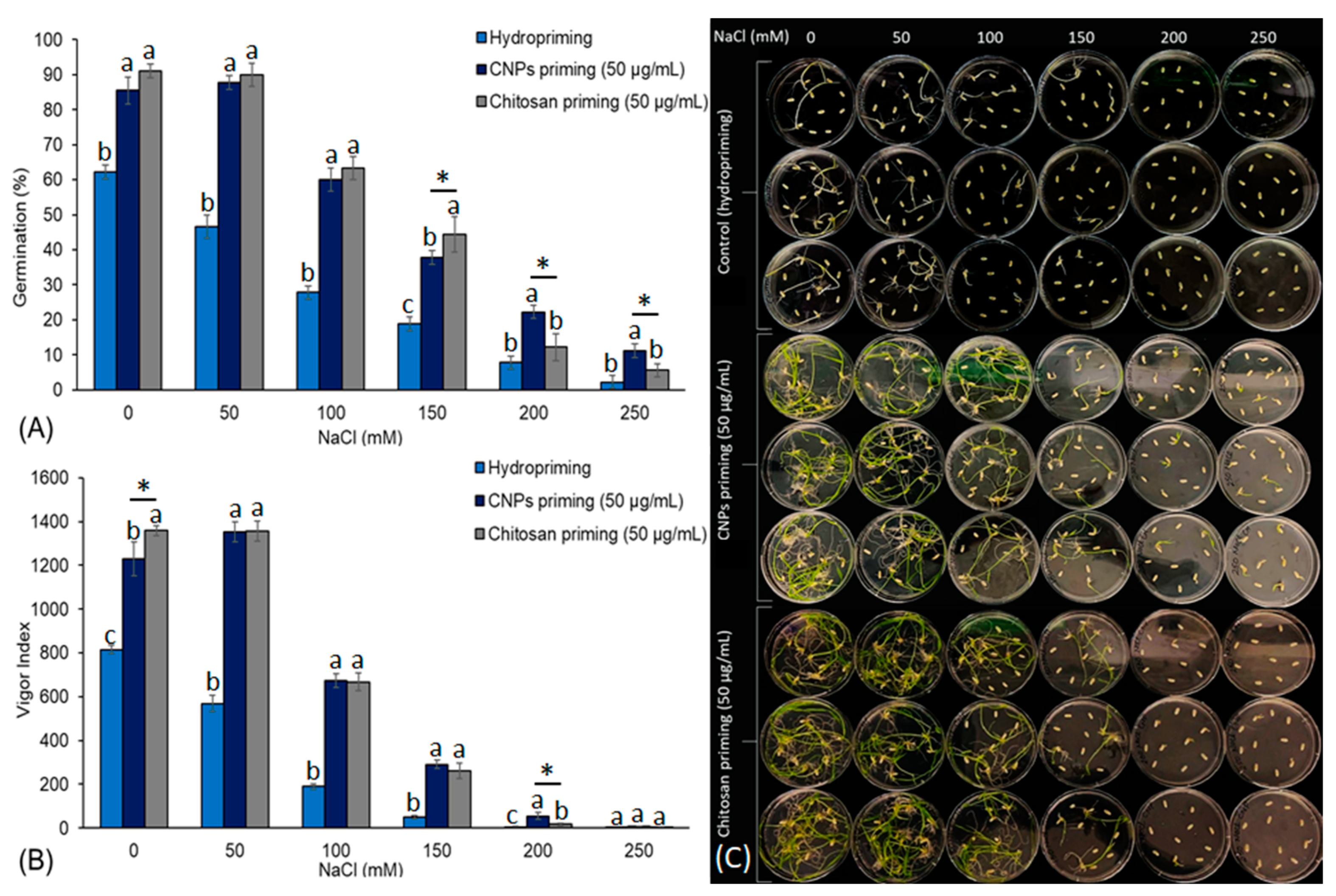 Polysaccharides 04 00010 g002 Polysaccharides 04 00010 g002