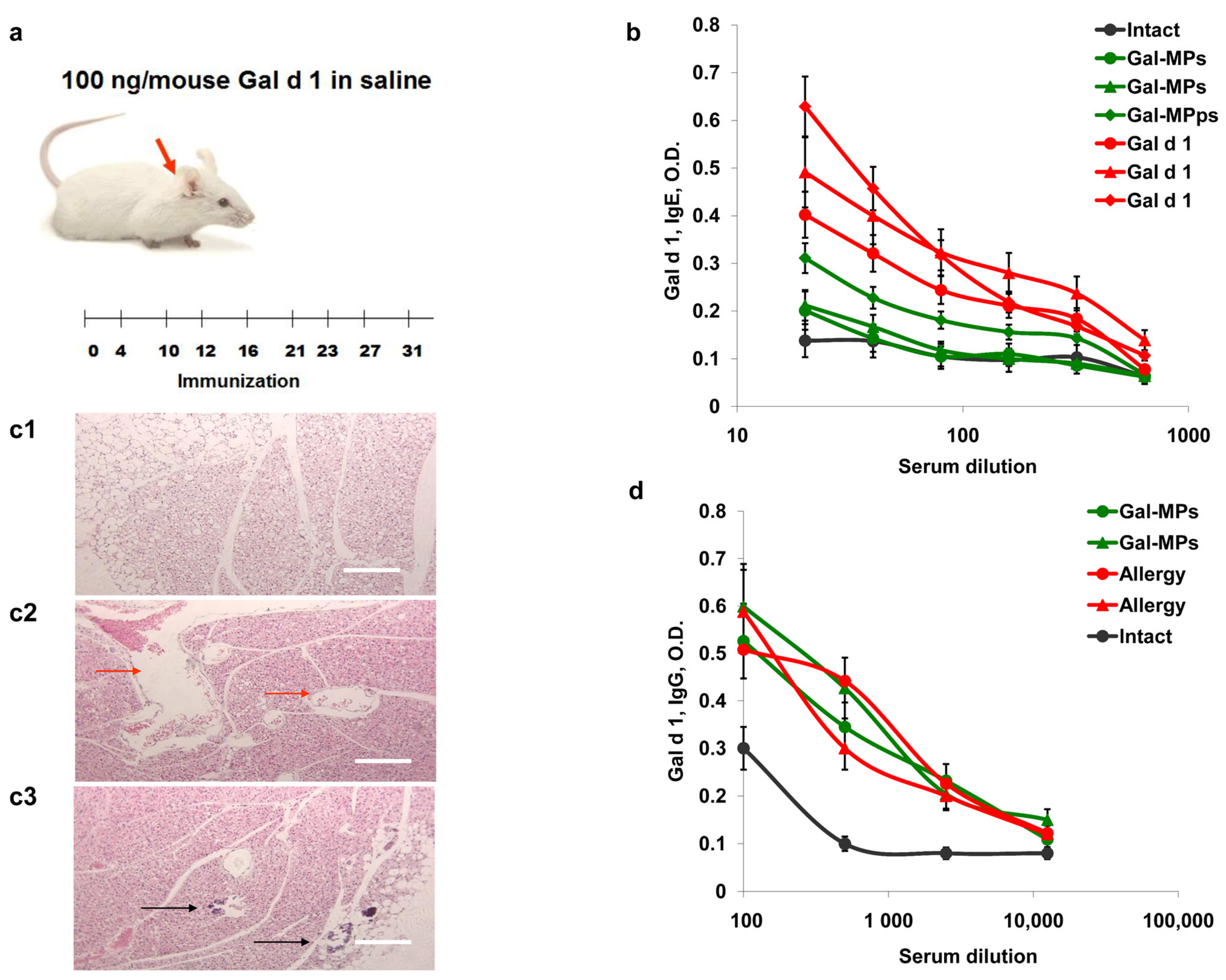 Polysaccharides 04 00011 g005 Polysaccharides 04 00011 g005