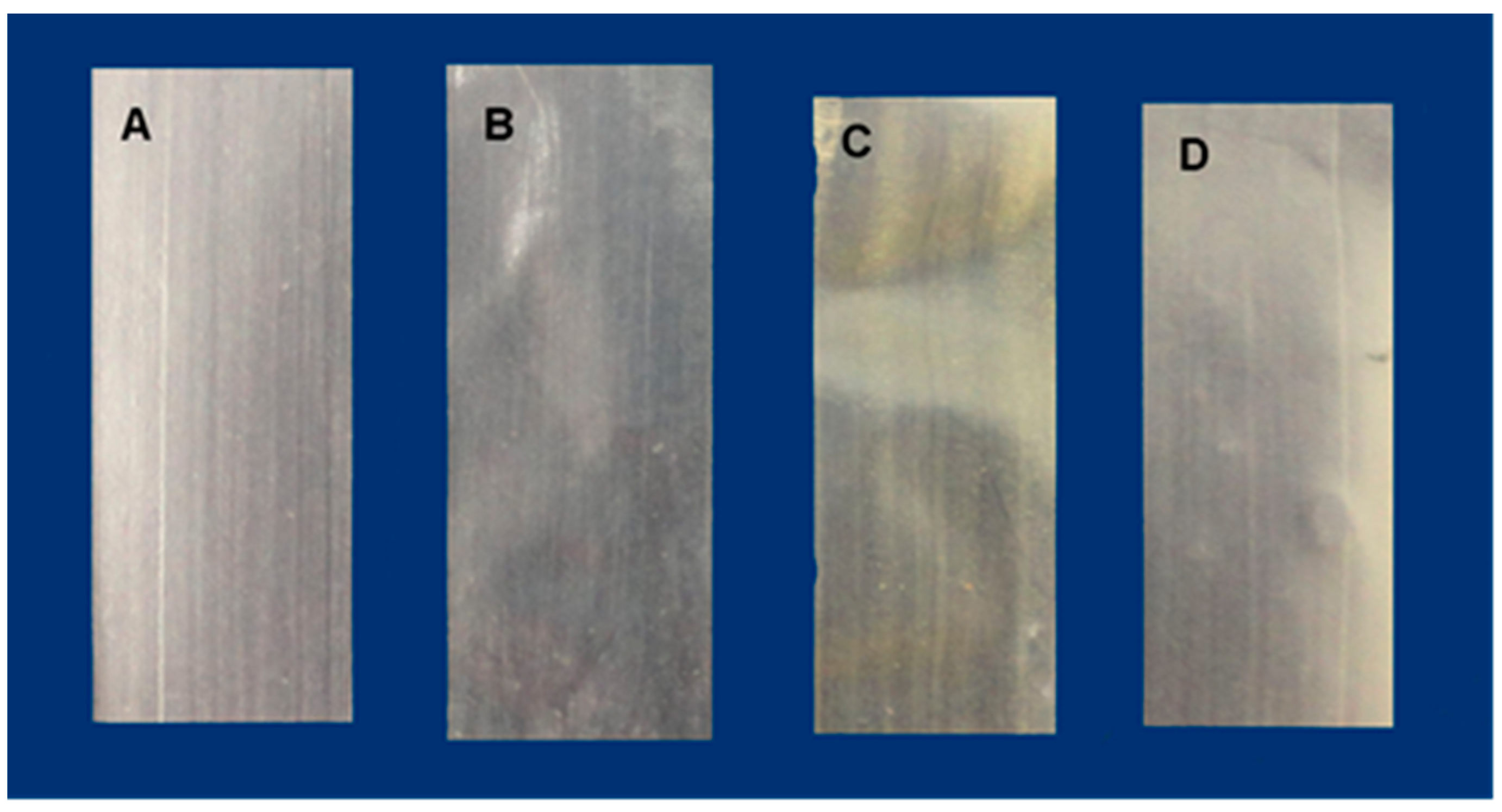 Polysaccharides 04 00015 g001