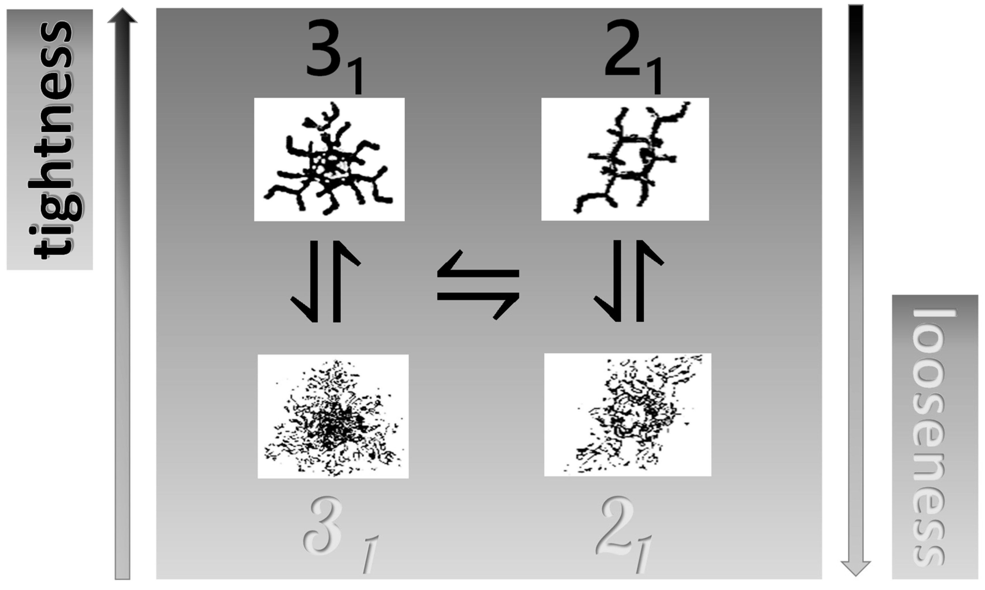 Polysaccharides 04 00018 sch001 Polysaccharides 04 00018 sch001