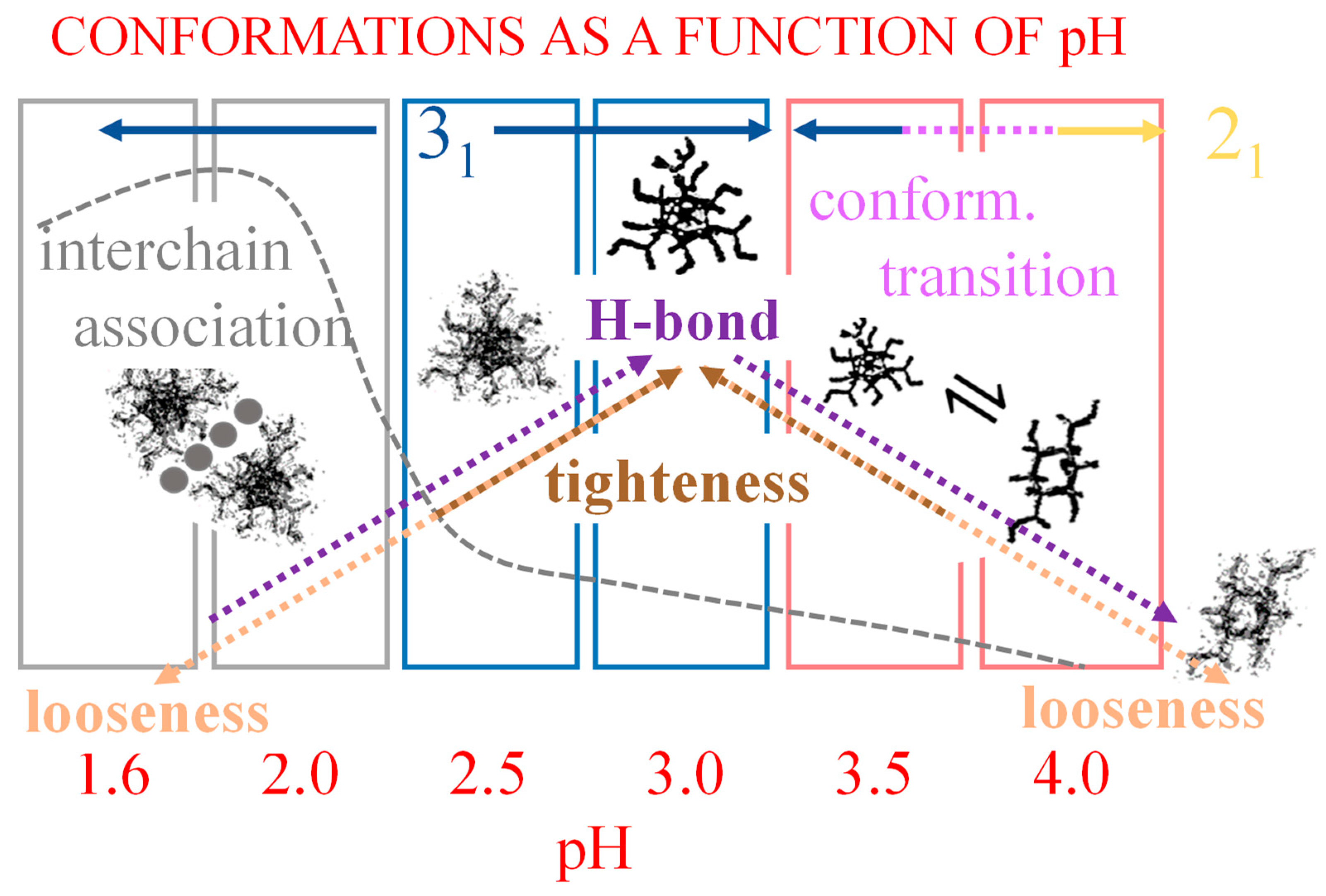 Polysaccharides 04 00018 sch005 Polysaccharides 04 00018 sch005