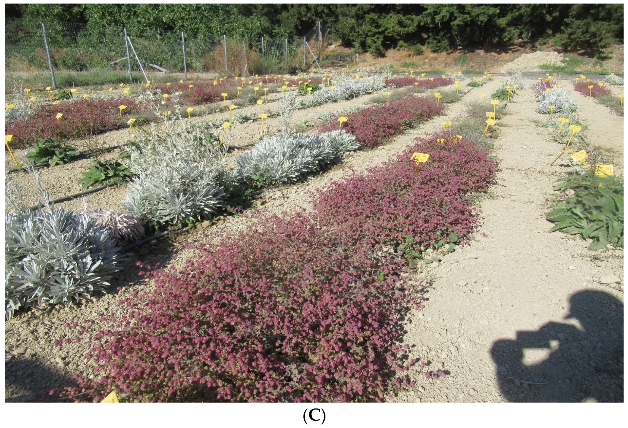 Polysaccharides 05 00003 g001b