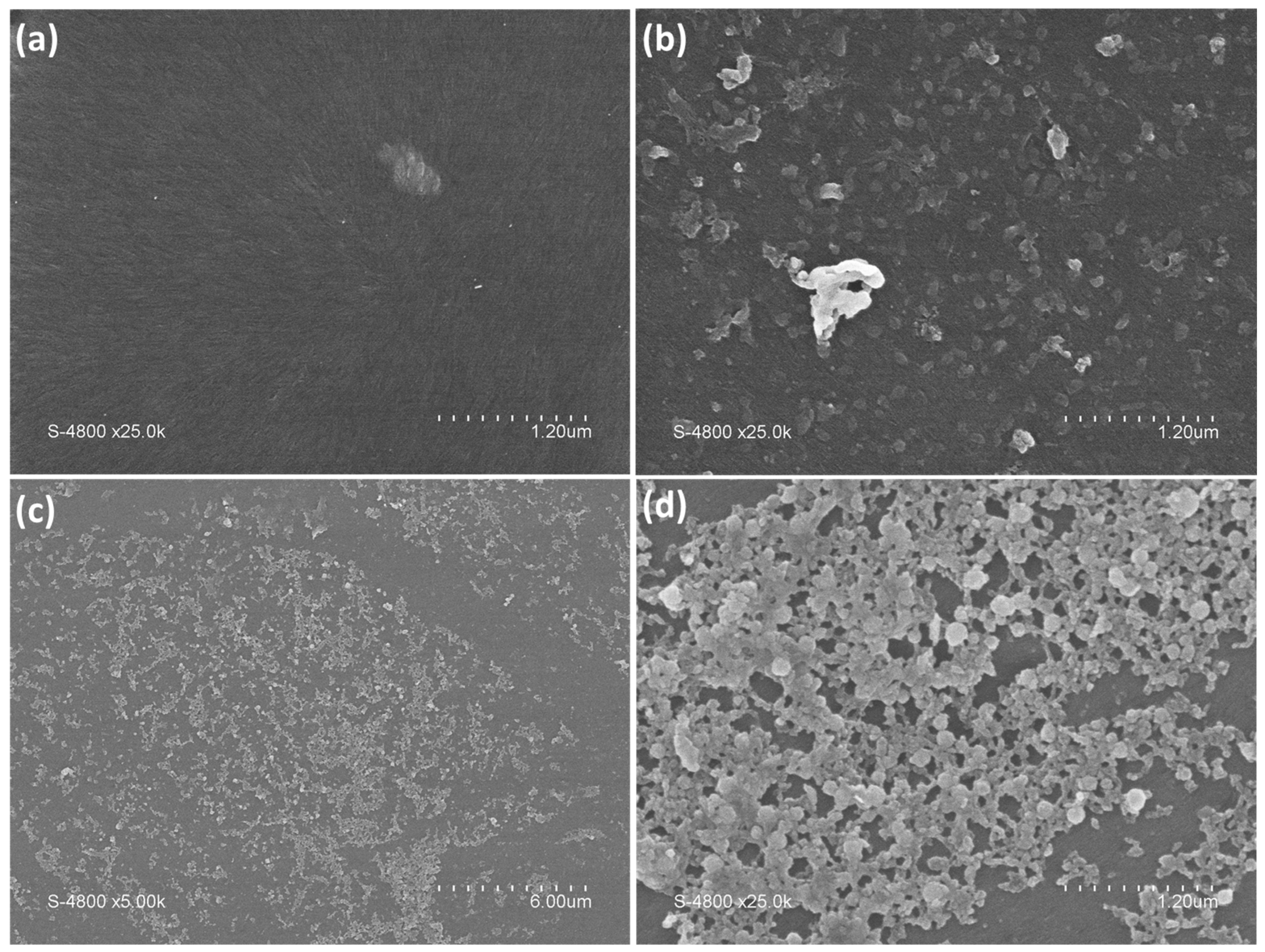 Polysaccharides 05 00006 g005