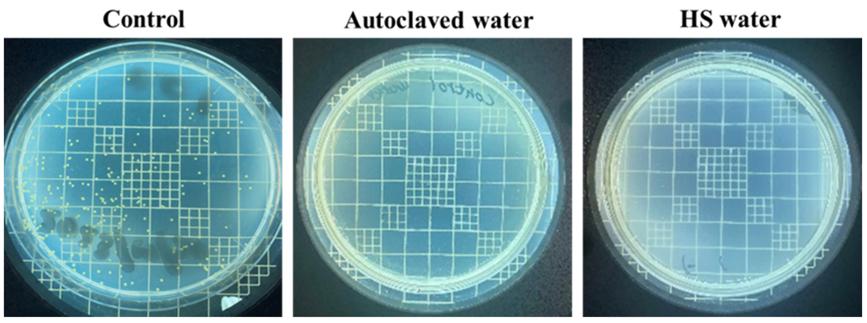 Polysaccharides 05 00008 g001
